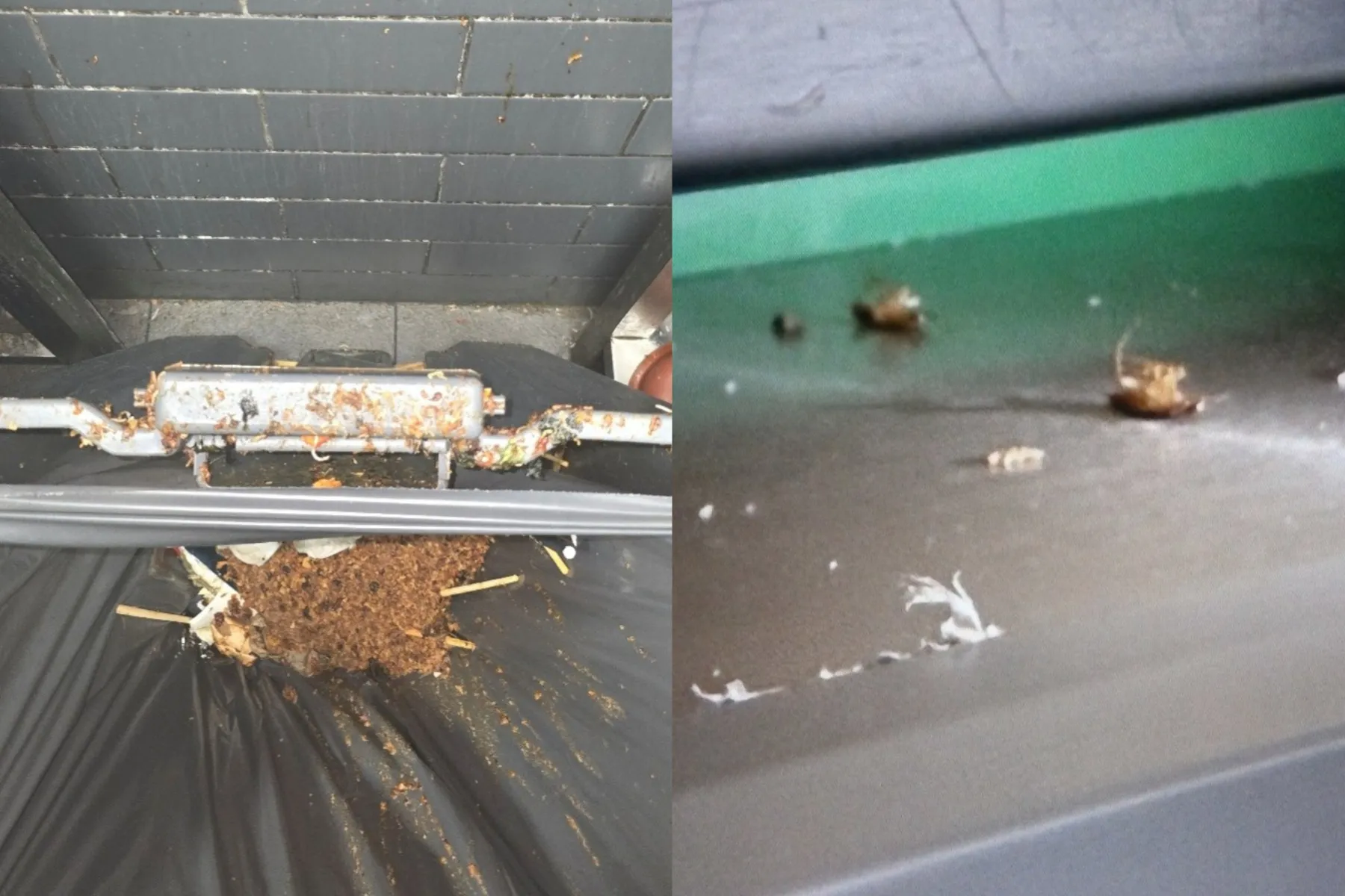 „Gan bei city“ Kaune / VMVT nuotr.