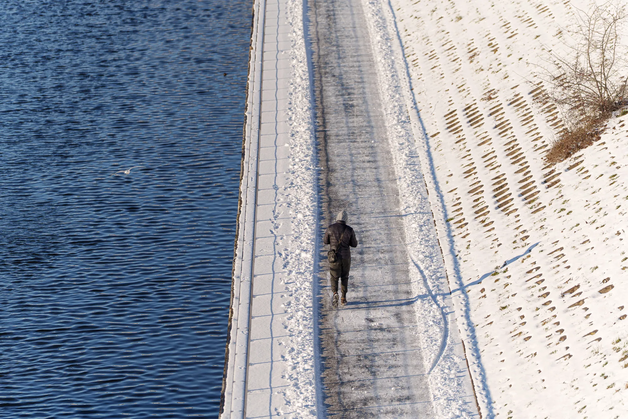 Paskutinė metų diena Kaune / R. Tenio nuotr.