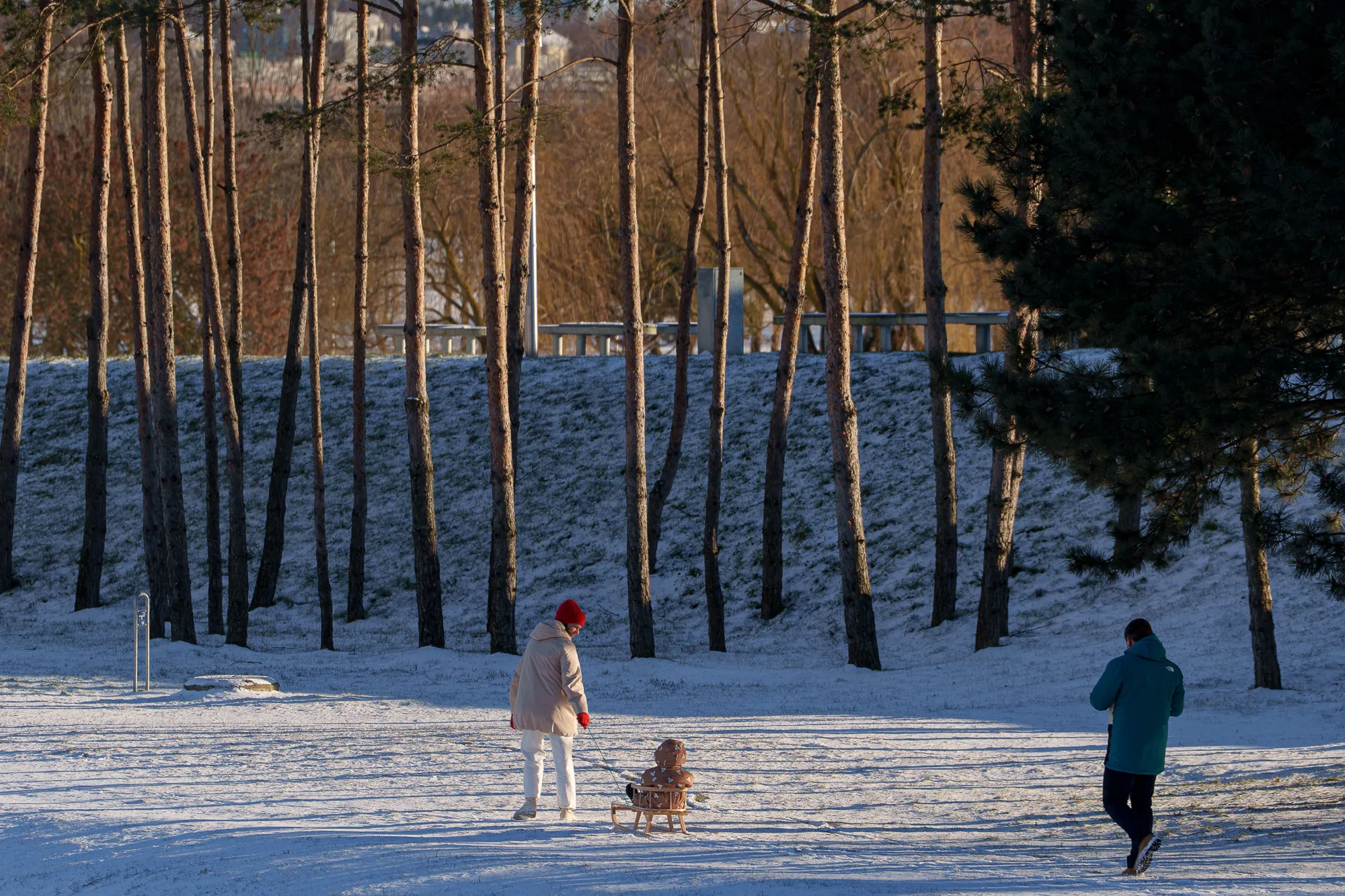 Paskutinė metų diena Kaune / R. Tenio nuotr.