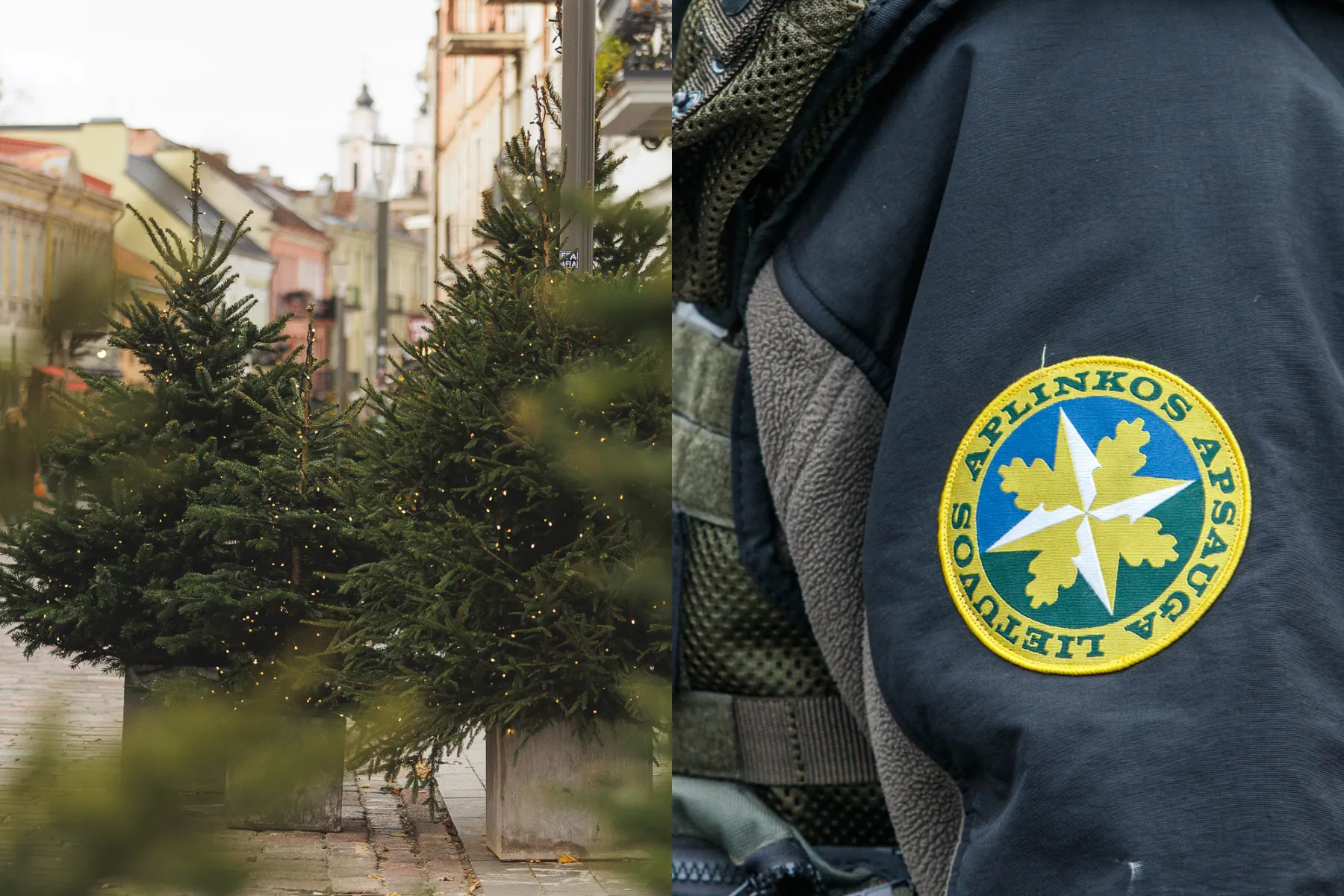 Asociatyvi / R. Tenio nuotr.