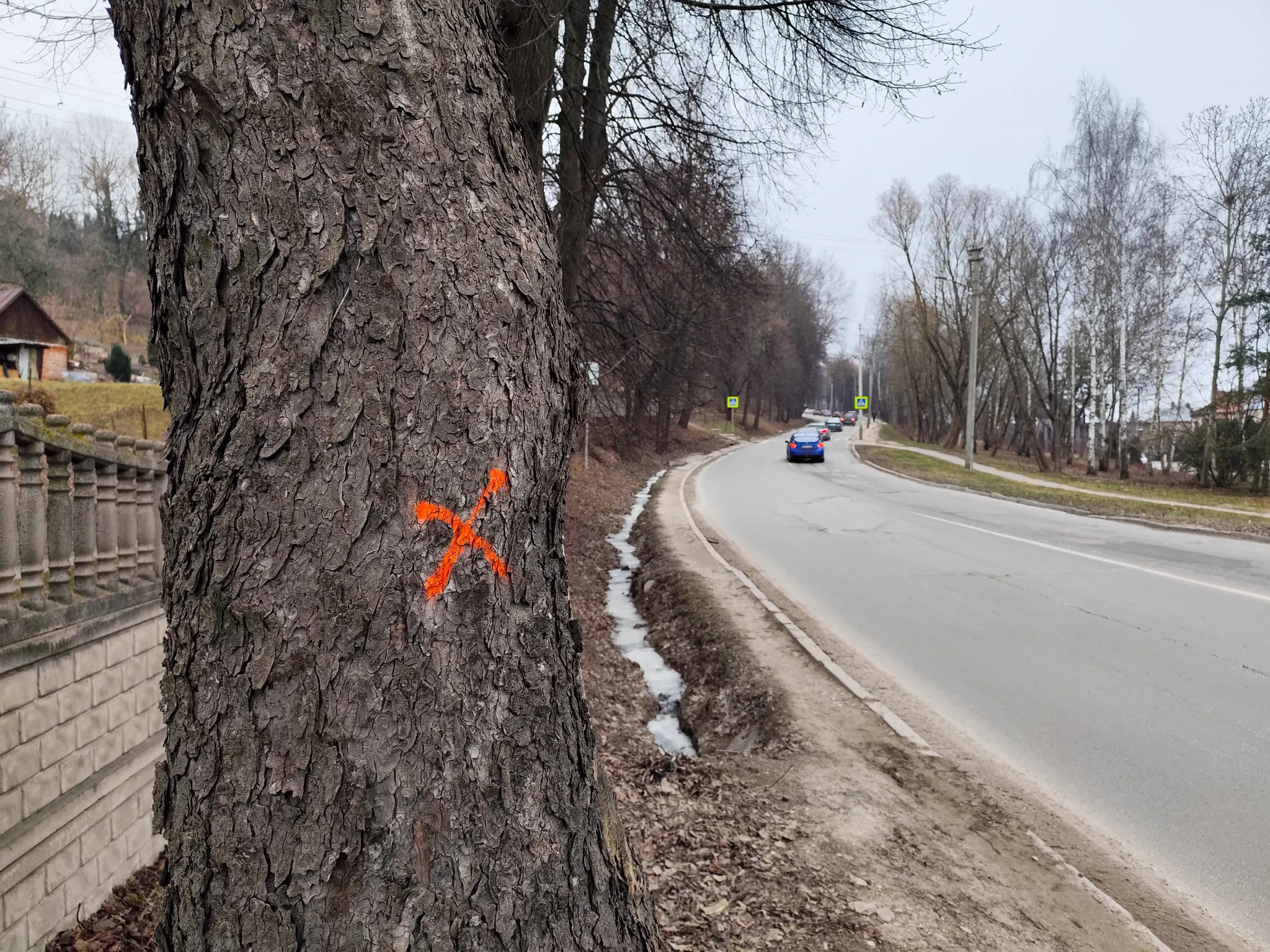 Kertami medžiai Milikonių įkalnėje