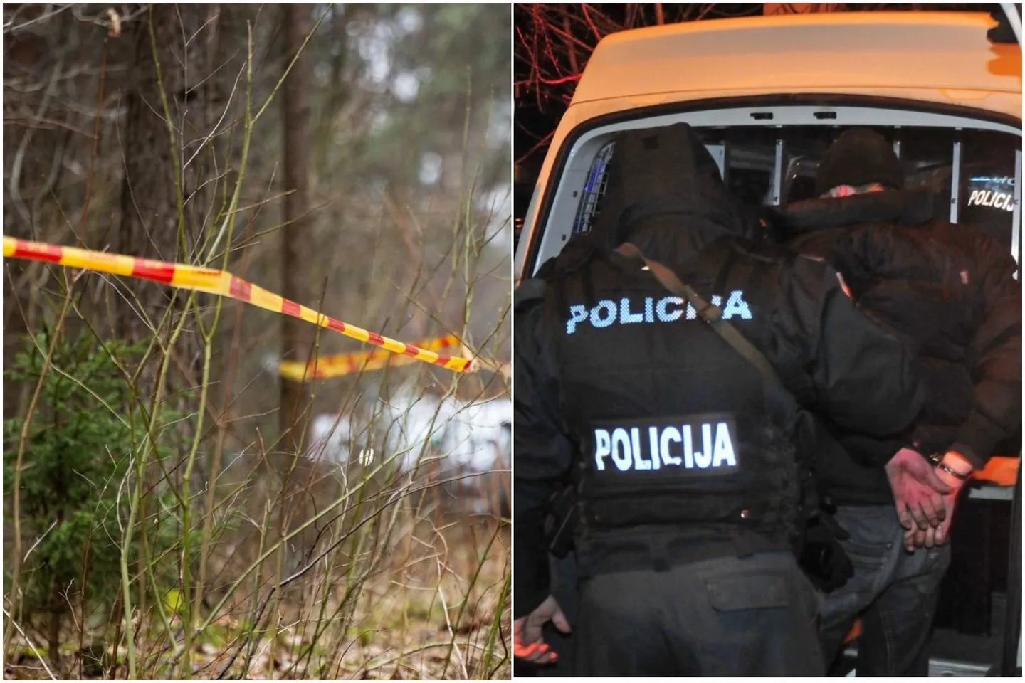 Kraupus išpuolis Kaune: reketininkai 16-metį įgrūdo į Audi ir grasino nužudyti / Lrytas.lt koliažas