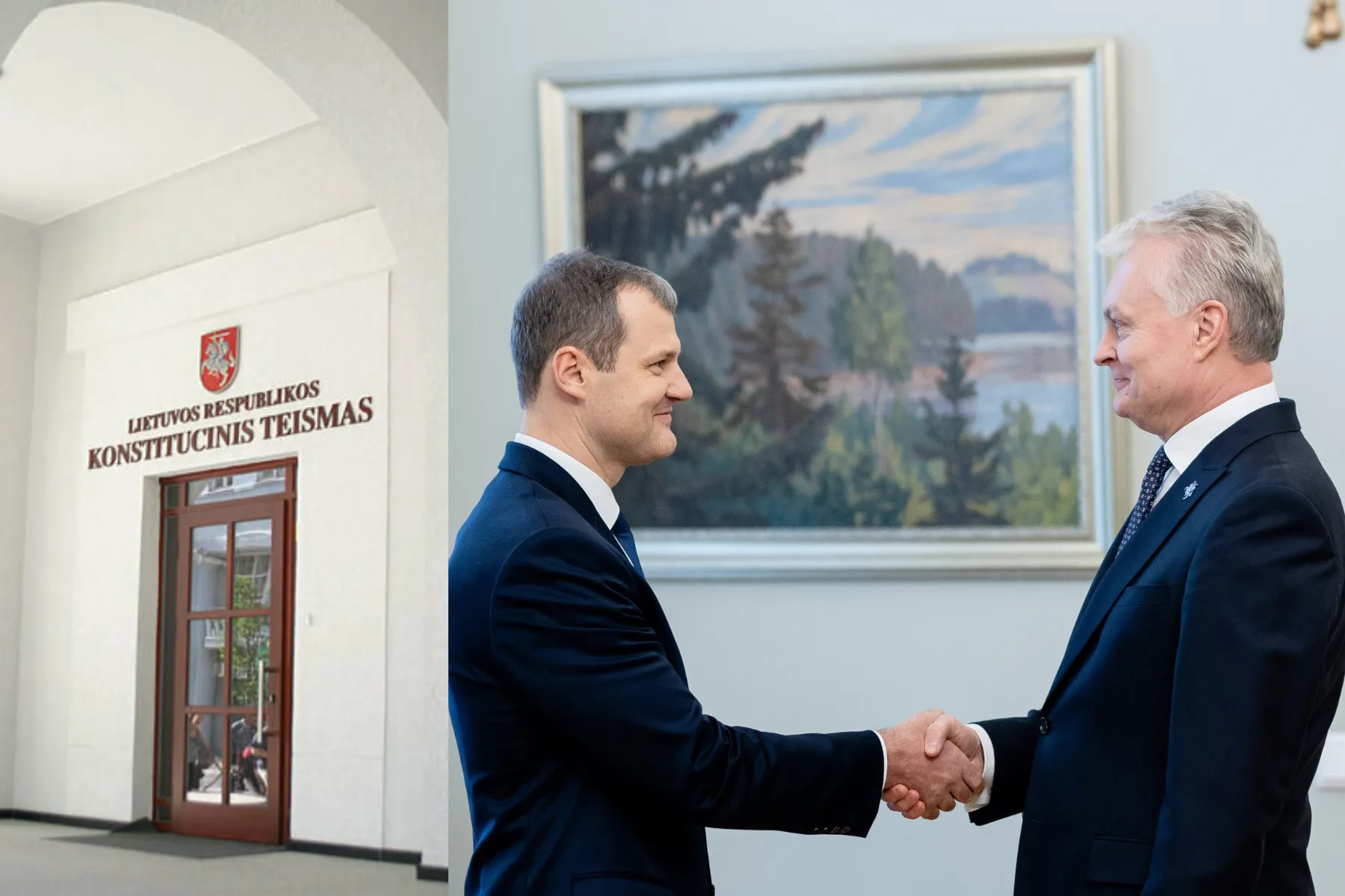 Konstitucinis teismas, Gitanas Nausėda, Gintautas Paluckas