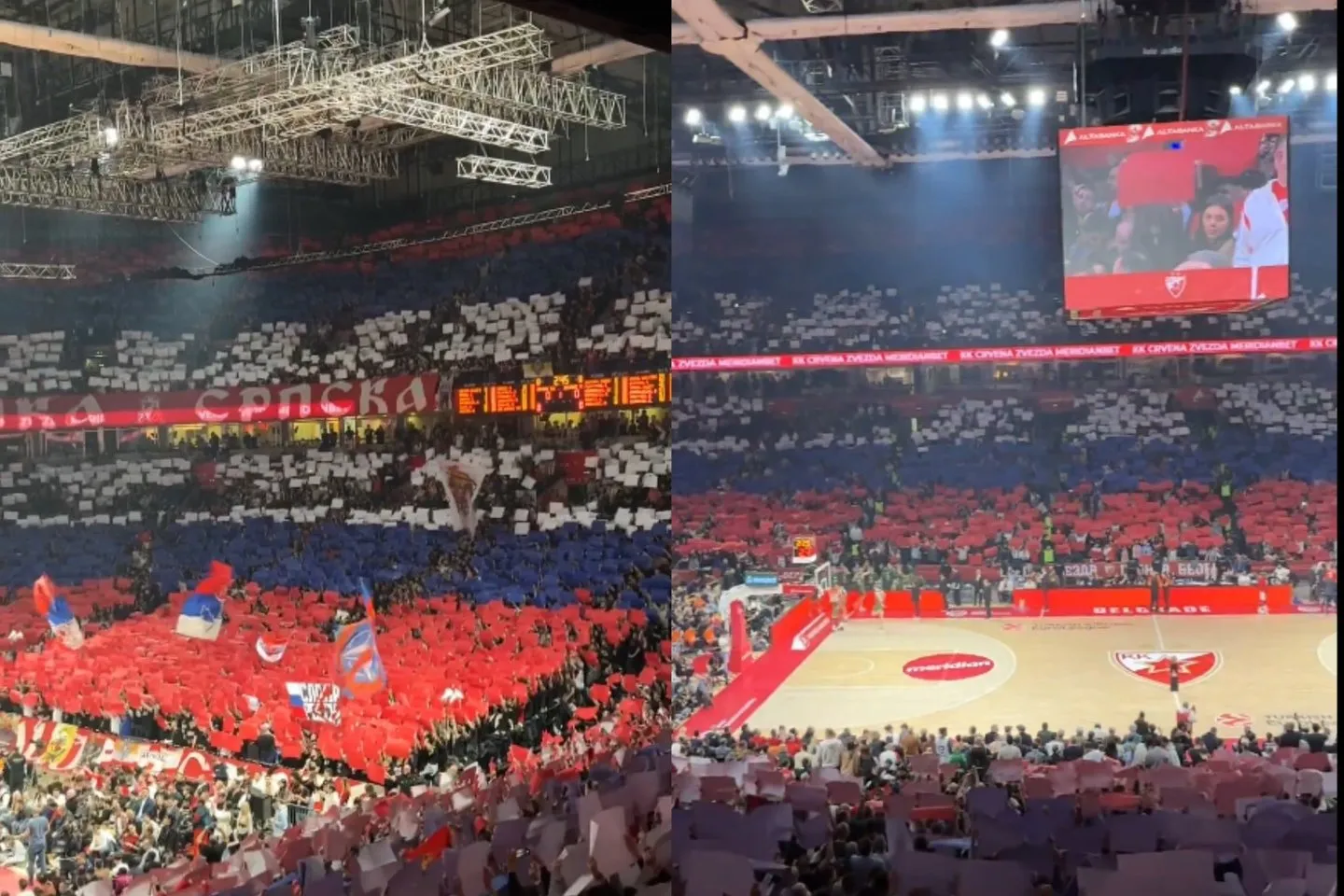 Crvena Zvezda sirgaliai