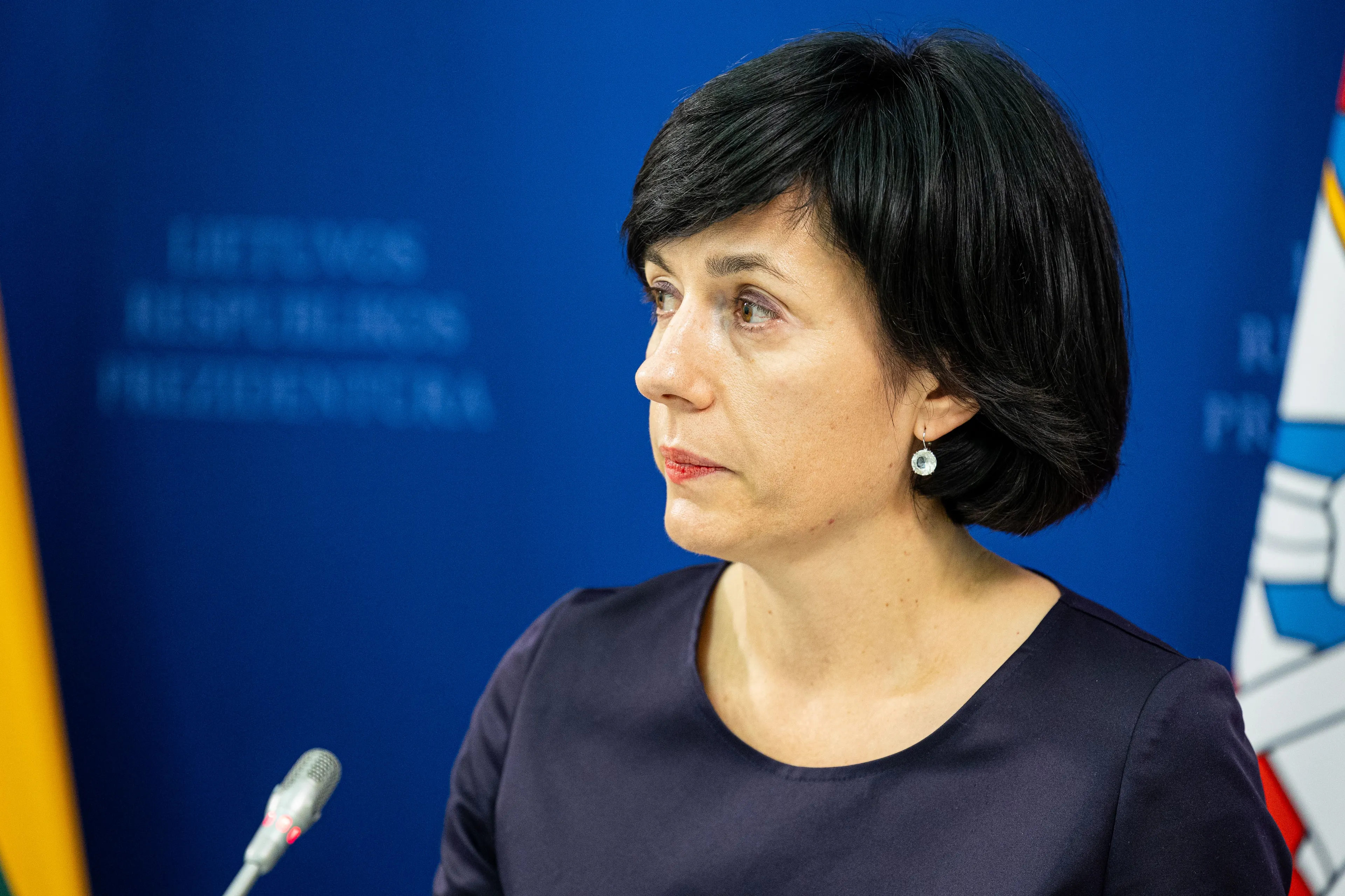 Vaida Aleknavičienė / P. Peleckio, BNS nuotr.