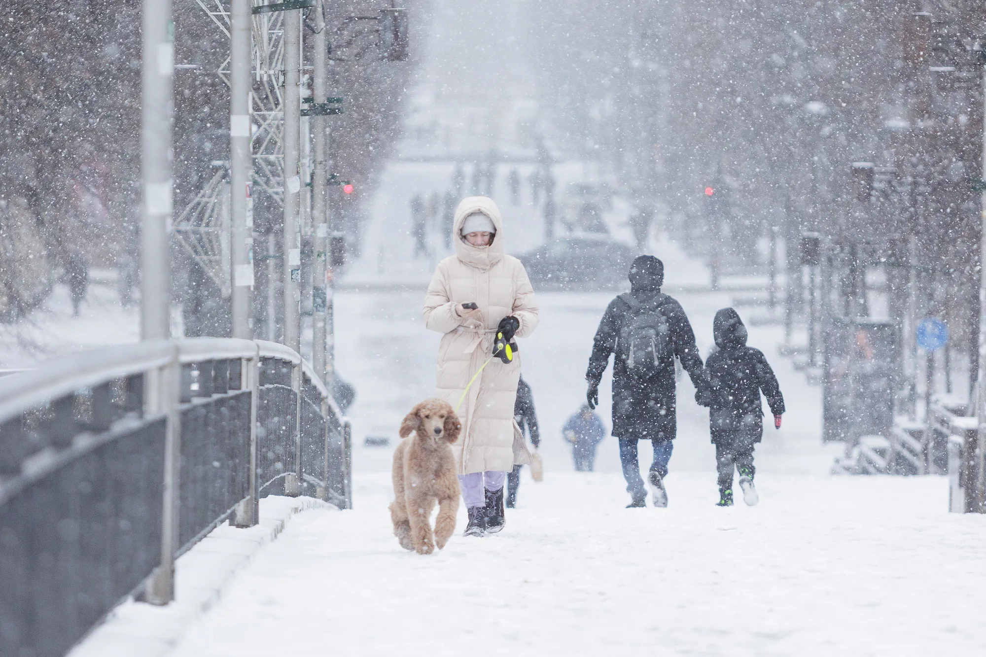 406fc3f24ec6d49bc7ef8ab677f7662a