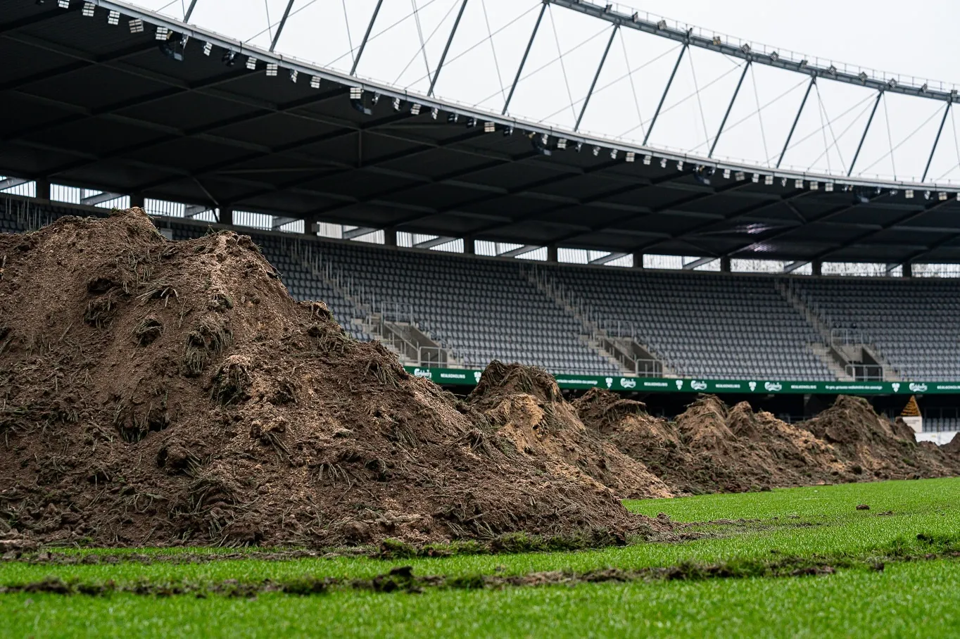 Dariaus ir Girėno stadiono veja / Stadiono nuotr.