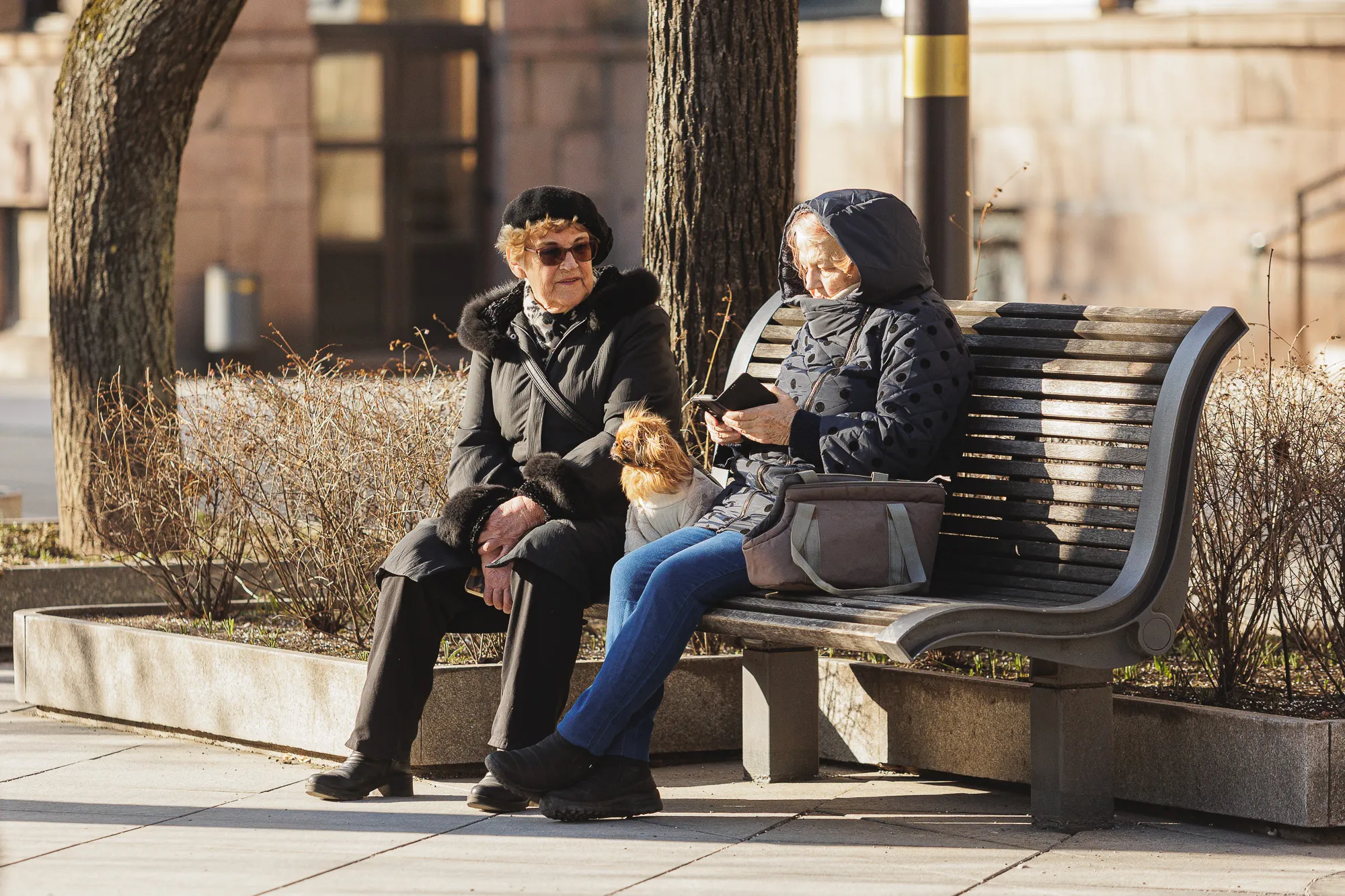 Pavasaris Laisvės alėjoje / R. Tenio nuotr.