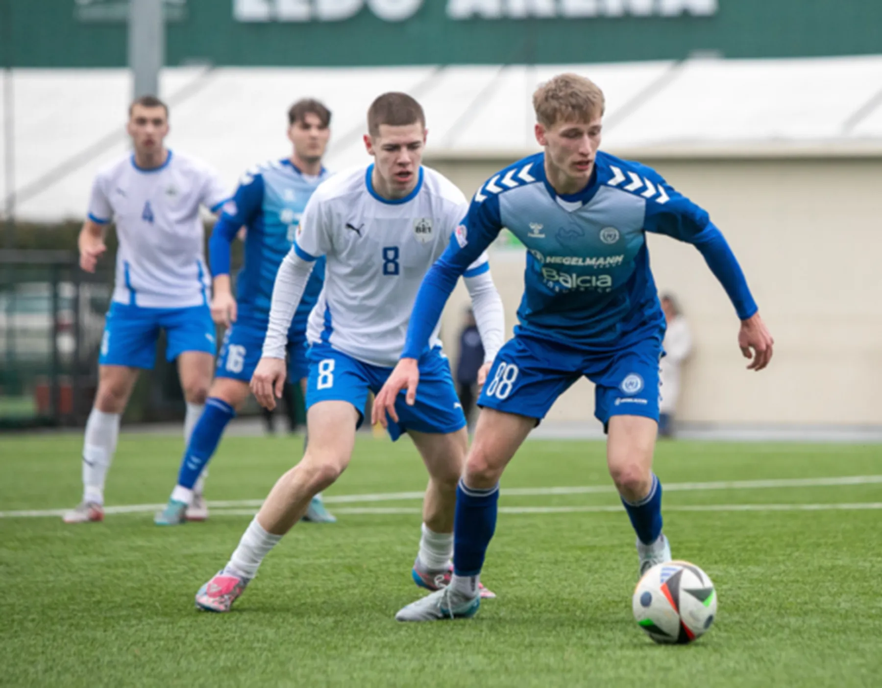 fchegelmann.com_-570x445