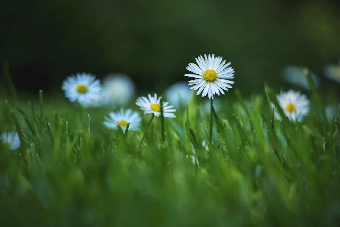 Iliustracija / pexels.com