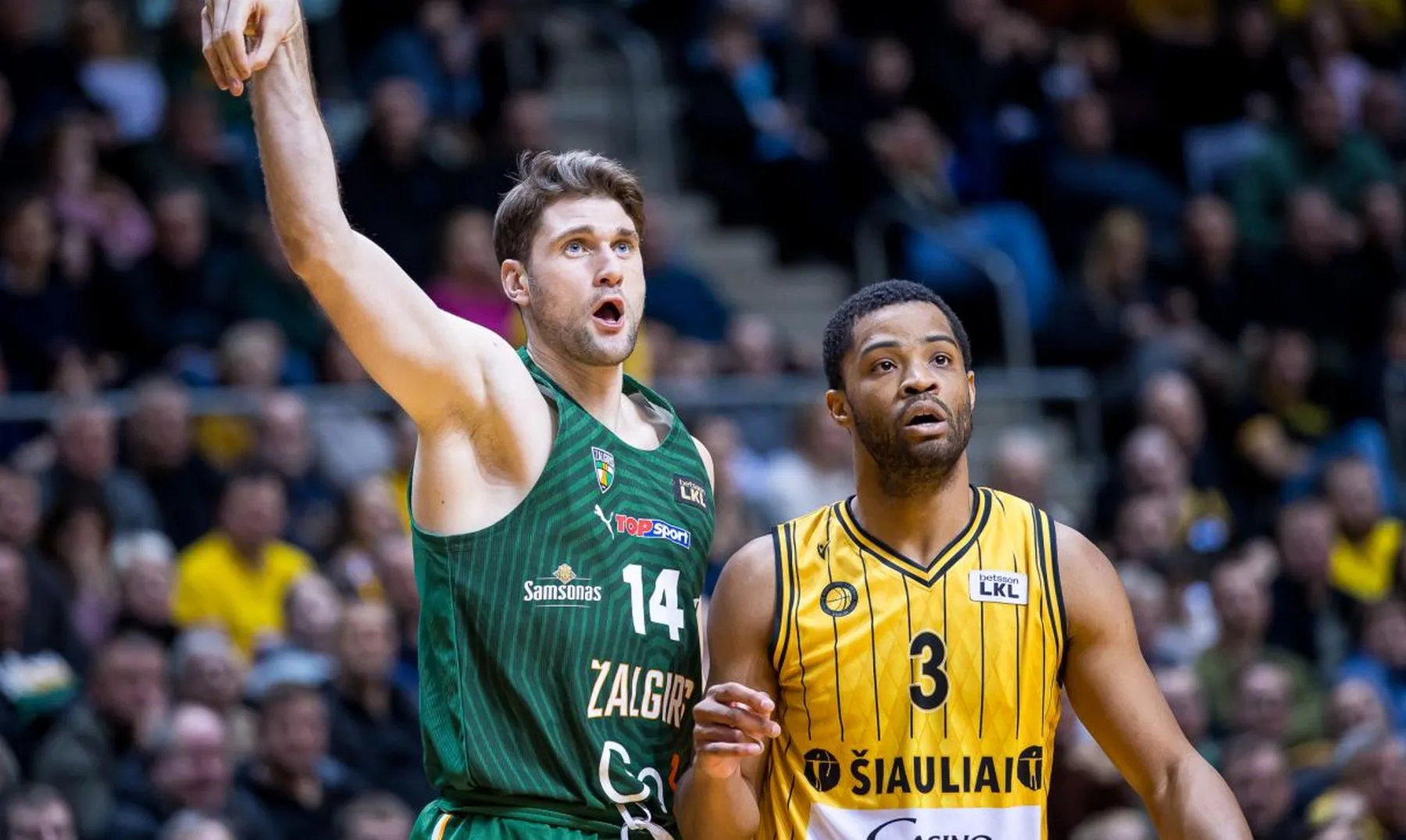 Žalgiris - Šauliai / LKL nuotr.