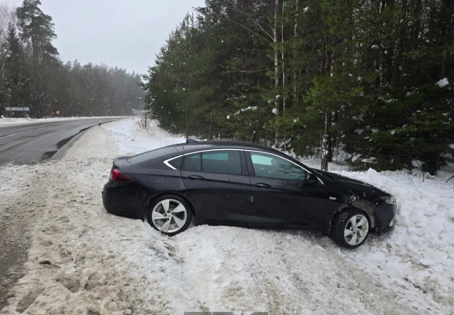 Nuo kelio nuvažiavęs automobilis