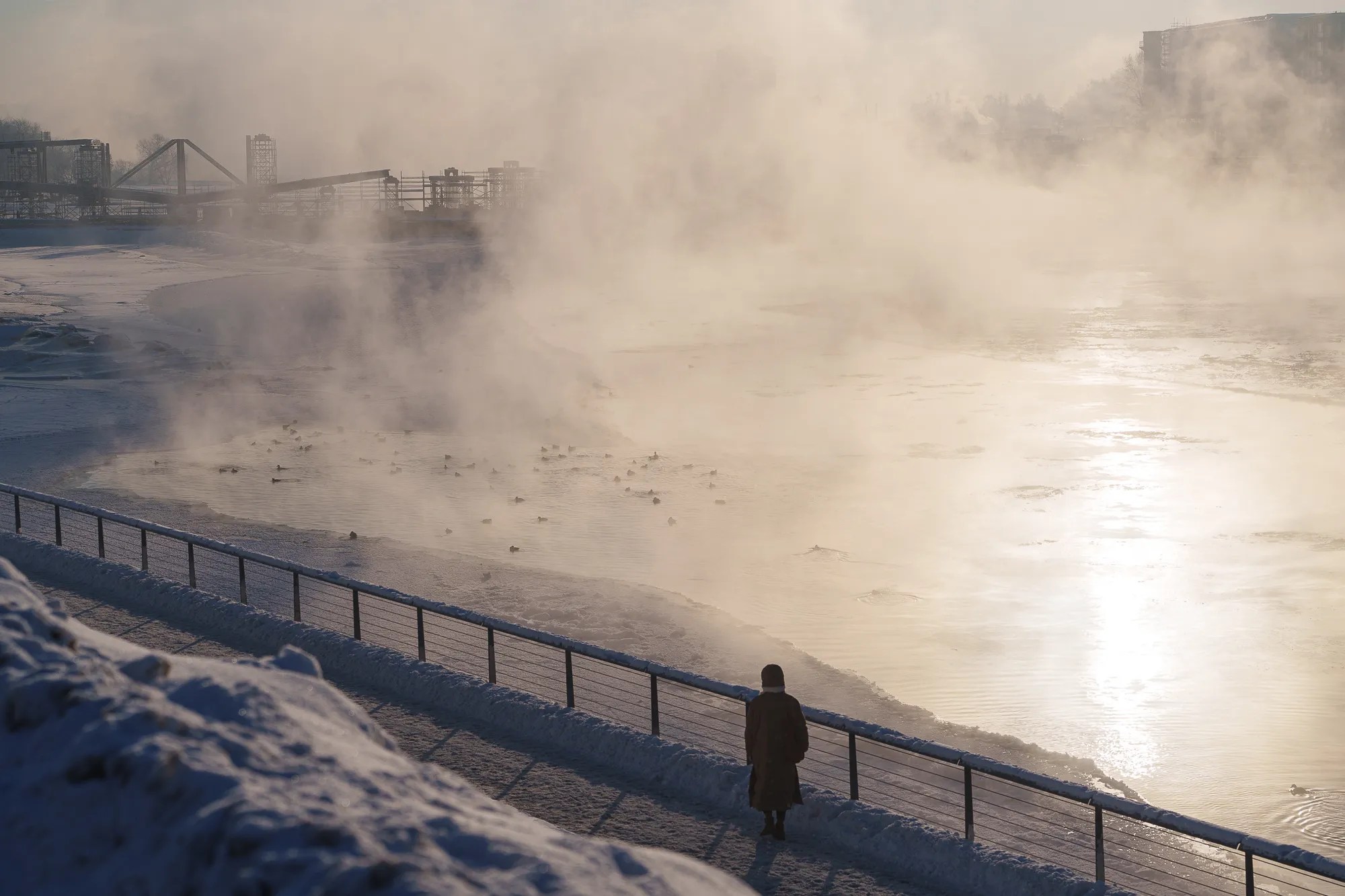 Rekordiškas šaltis Kaune / R. Tenio nuotr.