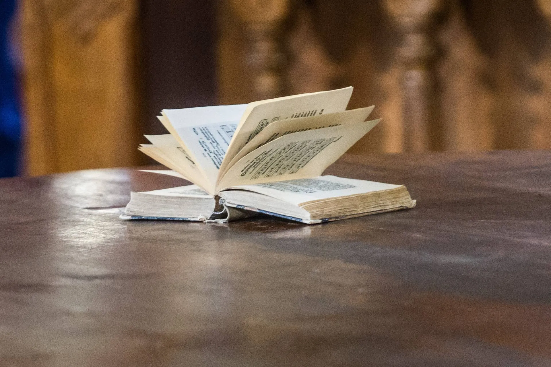 d_20260220_134227_382