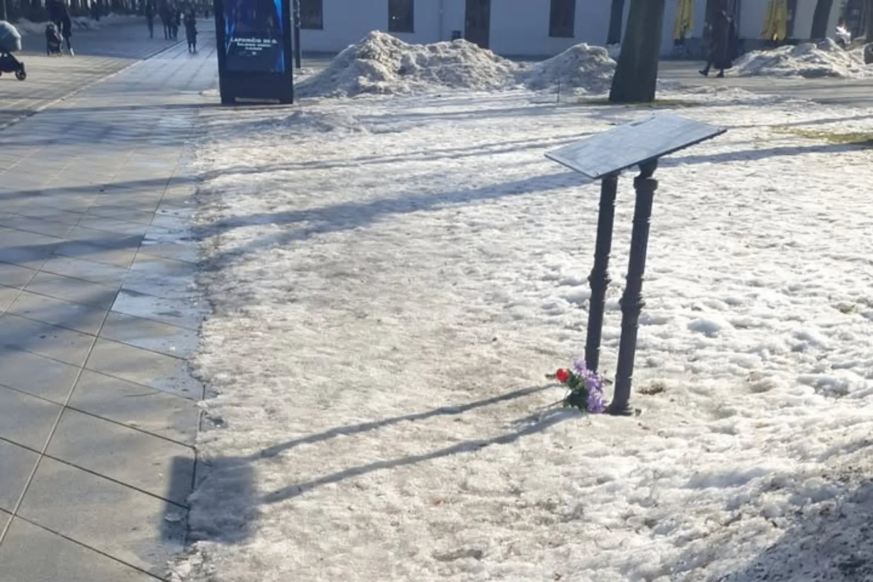 Apsnigtas paminklas Romui Kalantai / Skaitytojų nuotr.