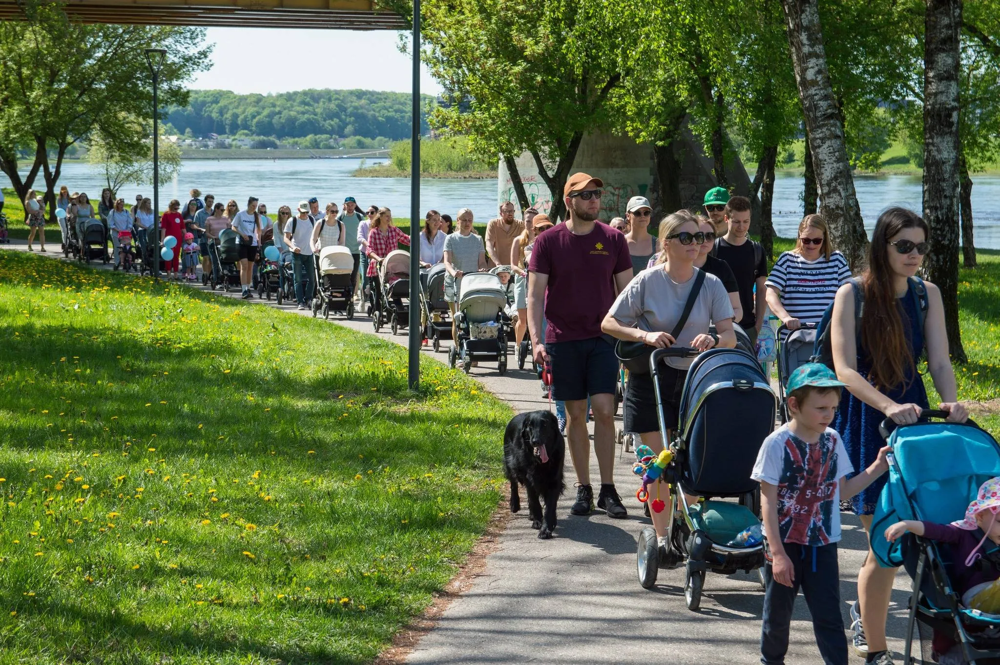 491960241_1205341224936394_3320332232821704693_n