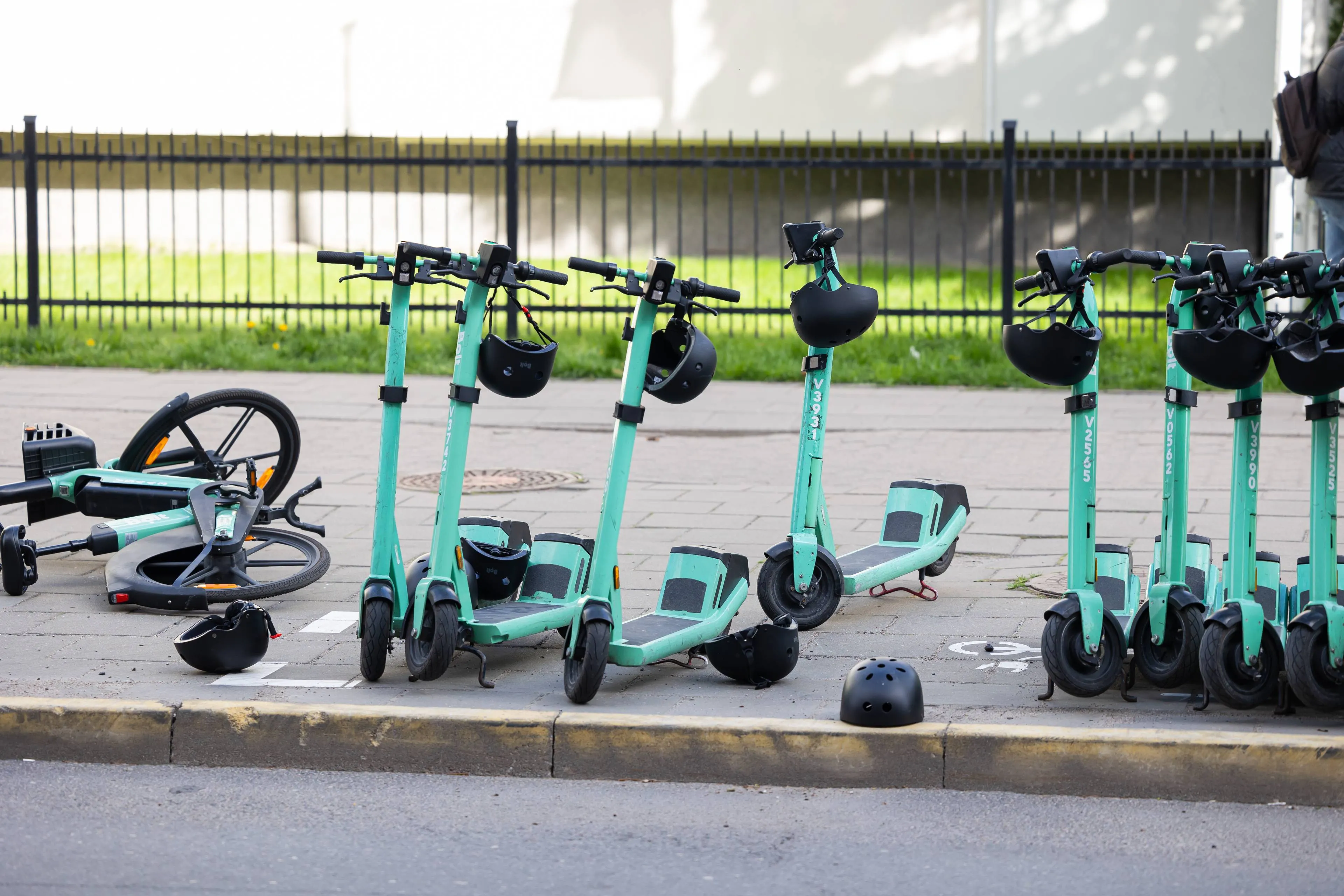 Asociatyvi / ELTA / A. Ufarto nuotr.