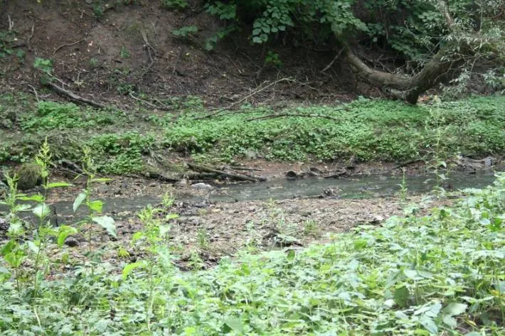 Girstupio upelis / BNS nuotr.