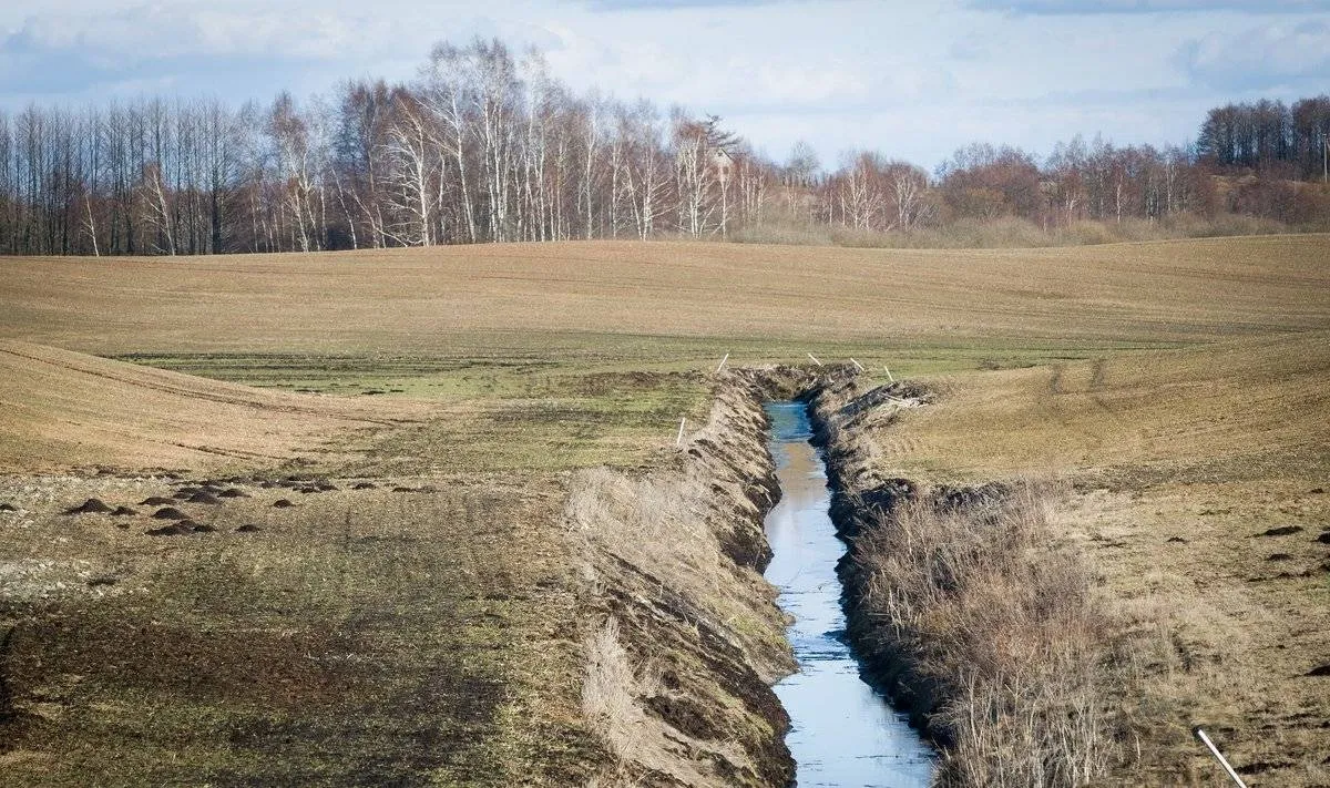Melioracija, griovys