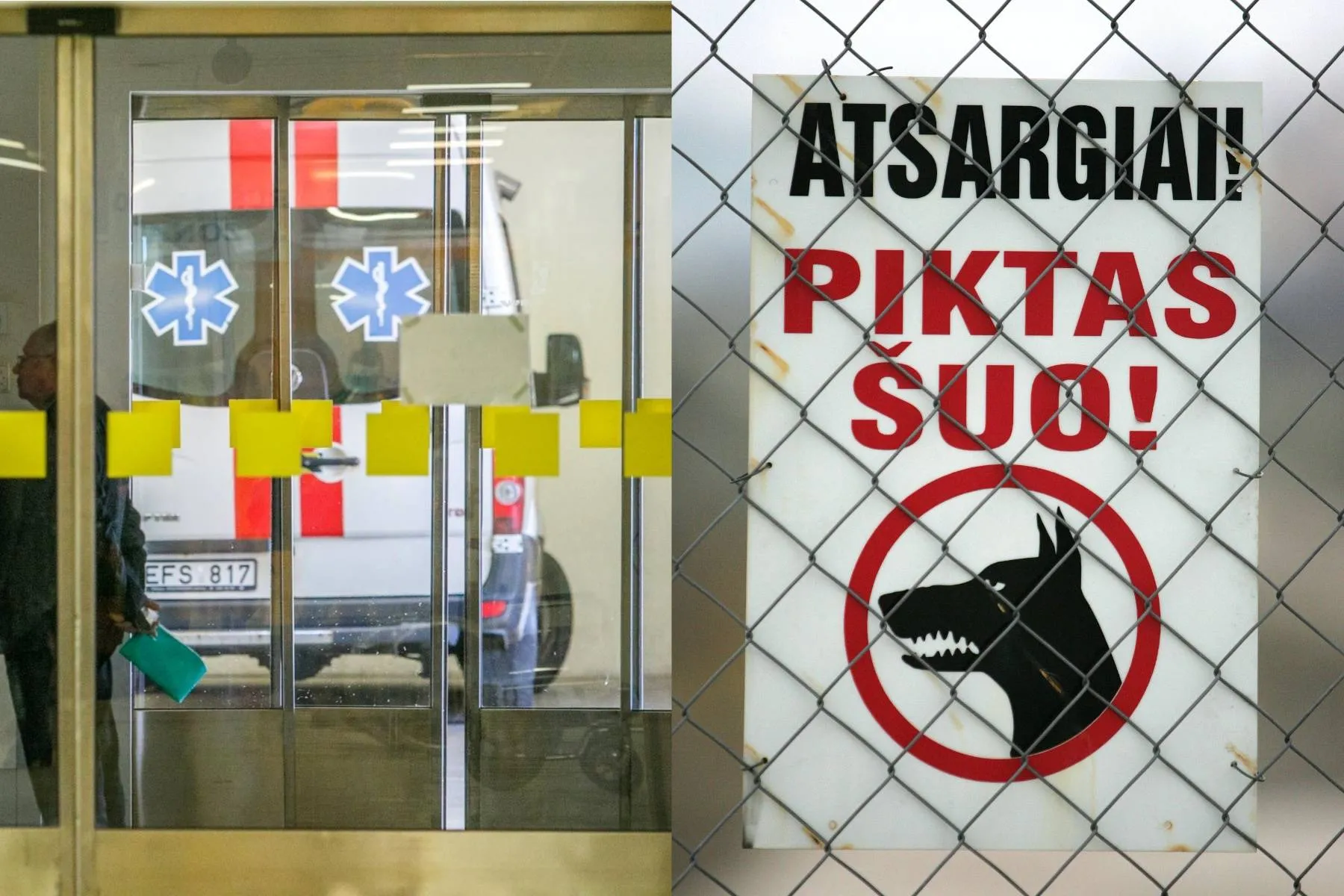 Piktas šuo