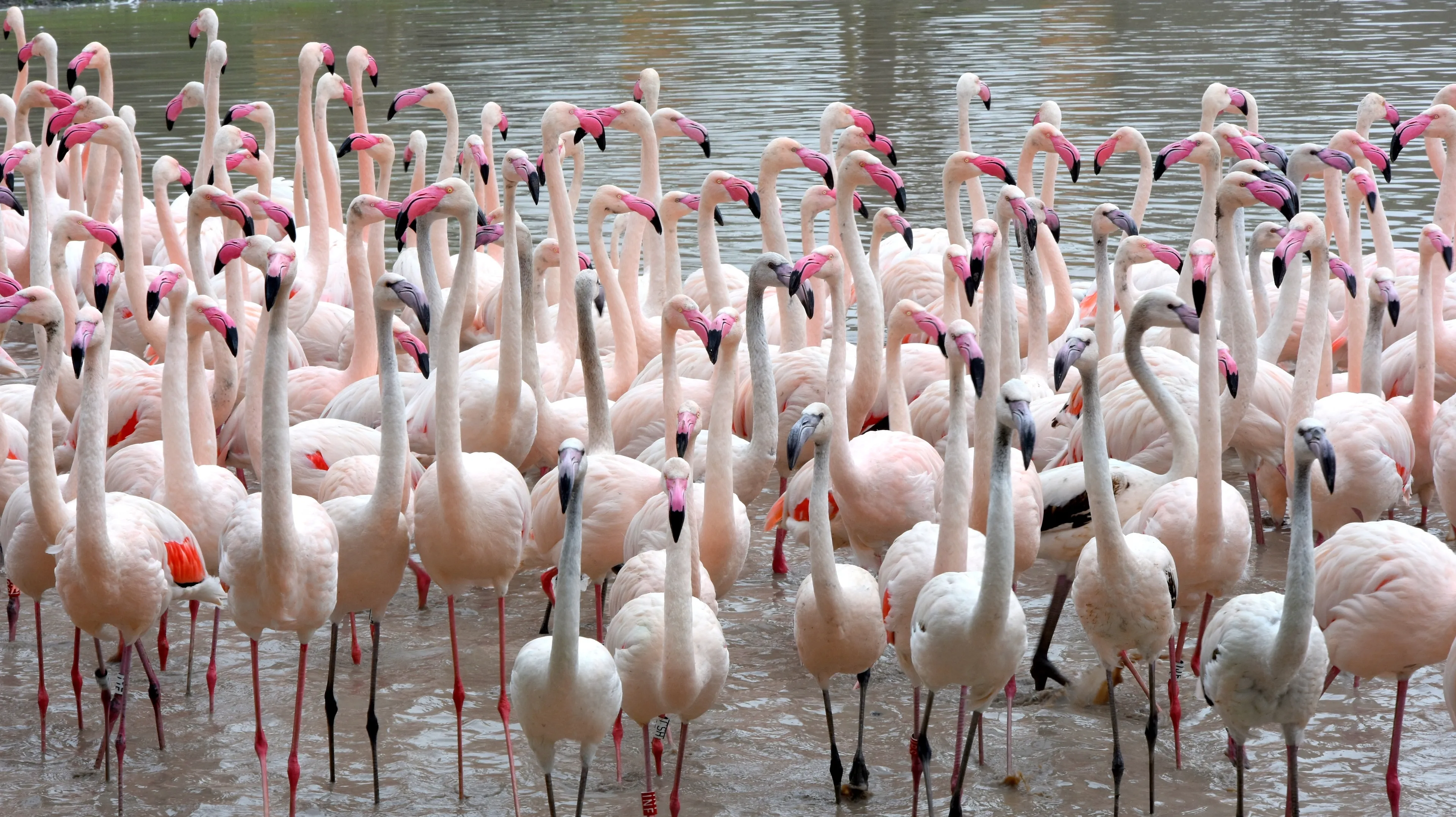 260 ceb61e9a0d83b0f954a723ad90bf84f5