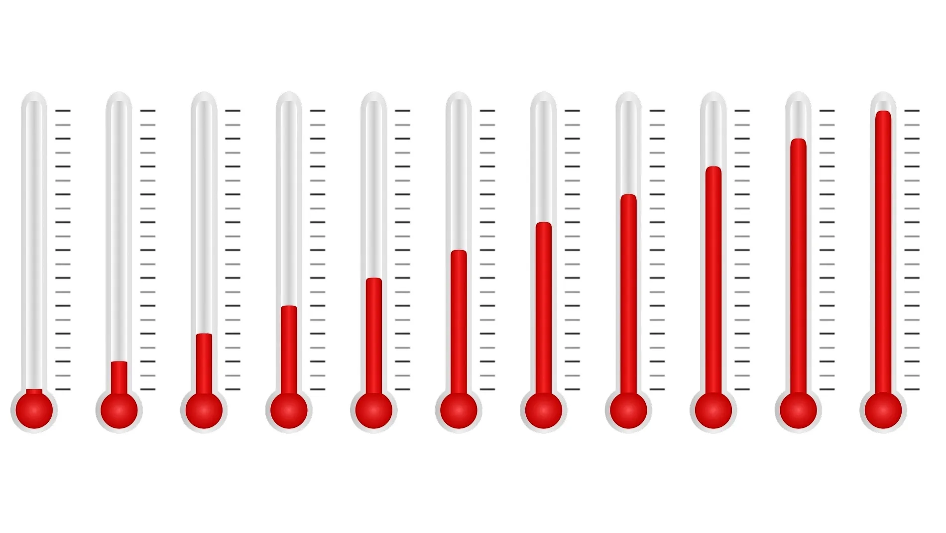 afbeelding van wynn pointaux via pixabay 2