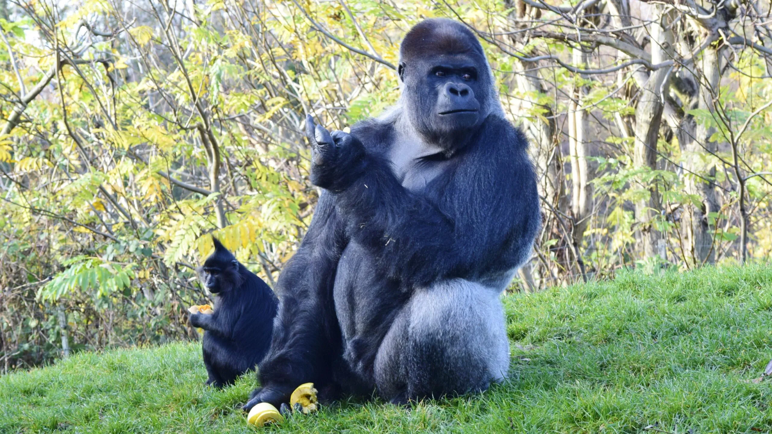 gaiazoo eigen foto 2 scaled