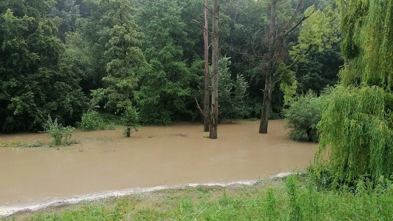 img 20210714 155111 1280x720 1 1