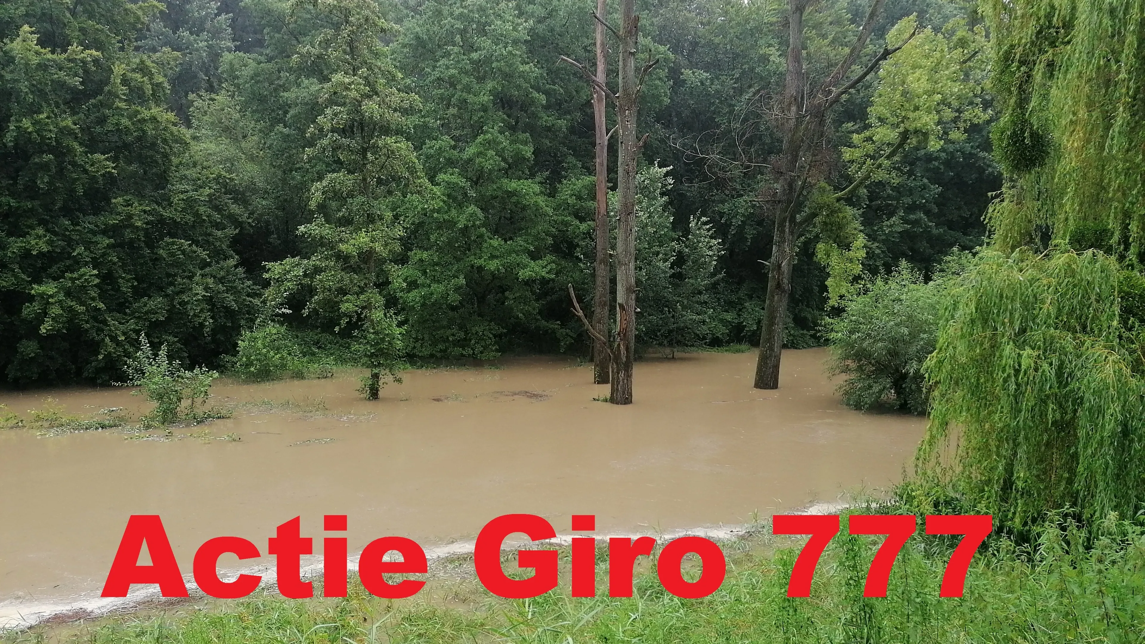 img 20210714 155111 2