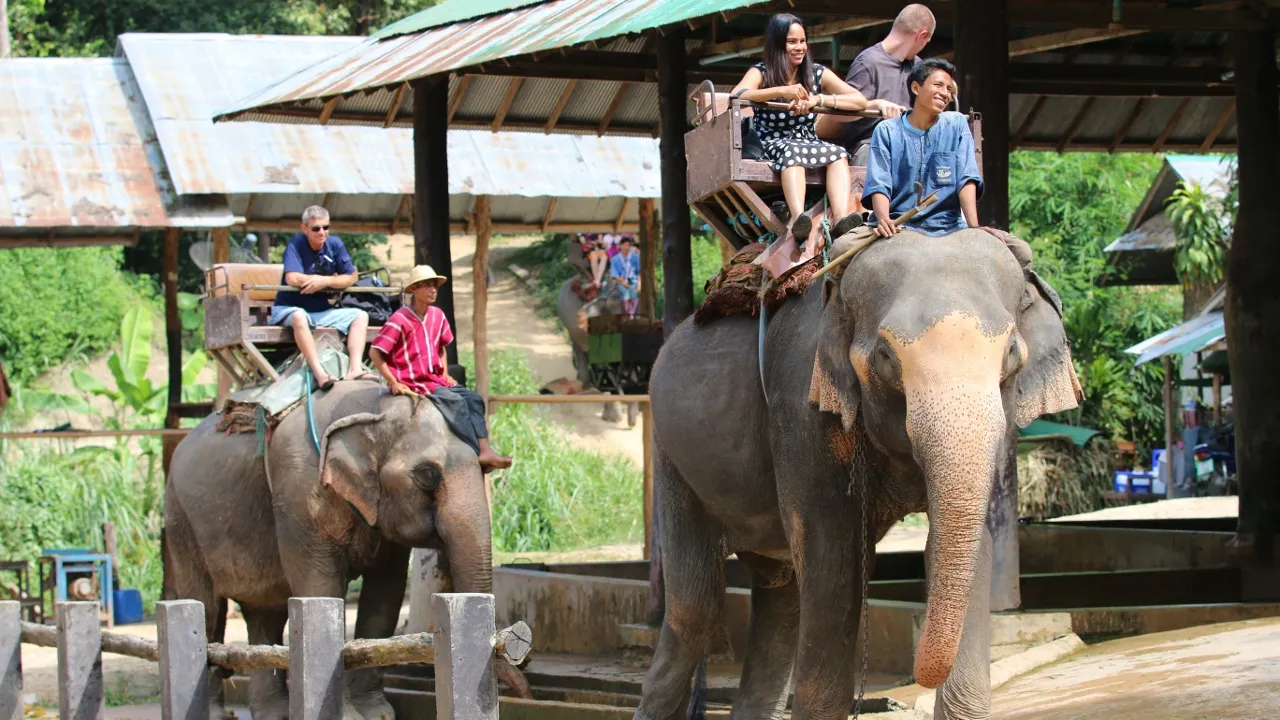 world animal protection olifantenrit 1280x720