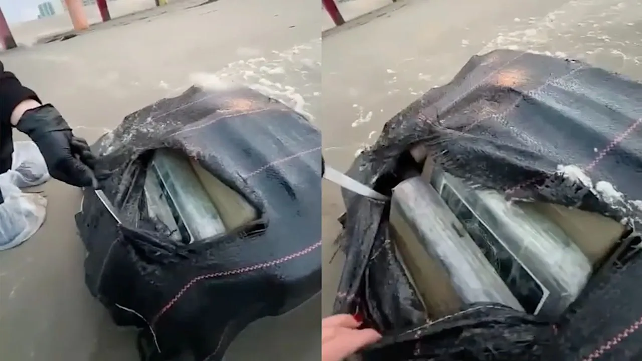 cocaine aangespoeld scheveningen