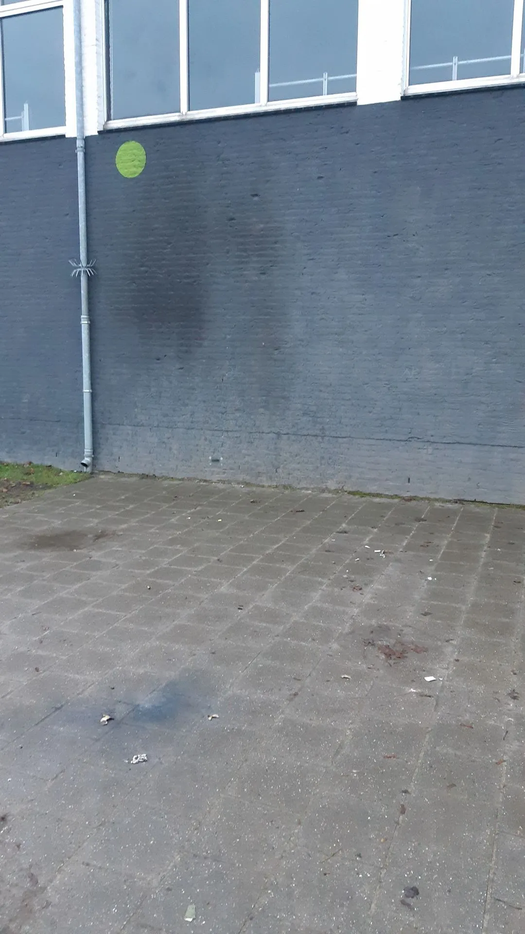 263887982 277863631049699 7064399627127979011 n 1