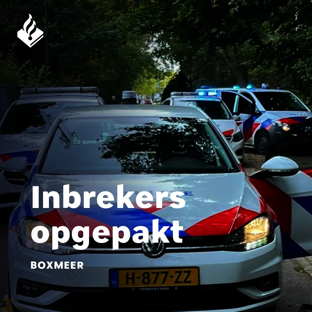 310555499 477283301107730 3040340182379990335 n