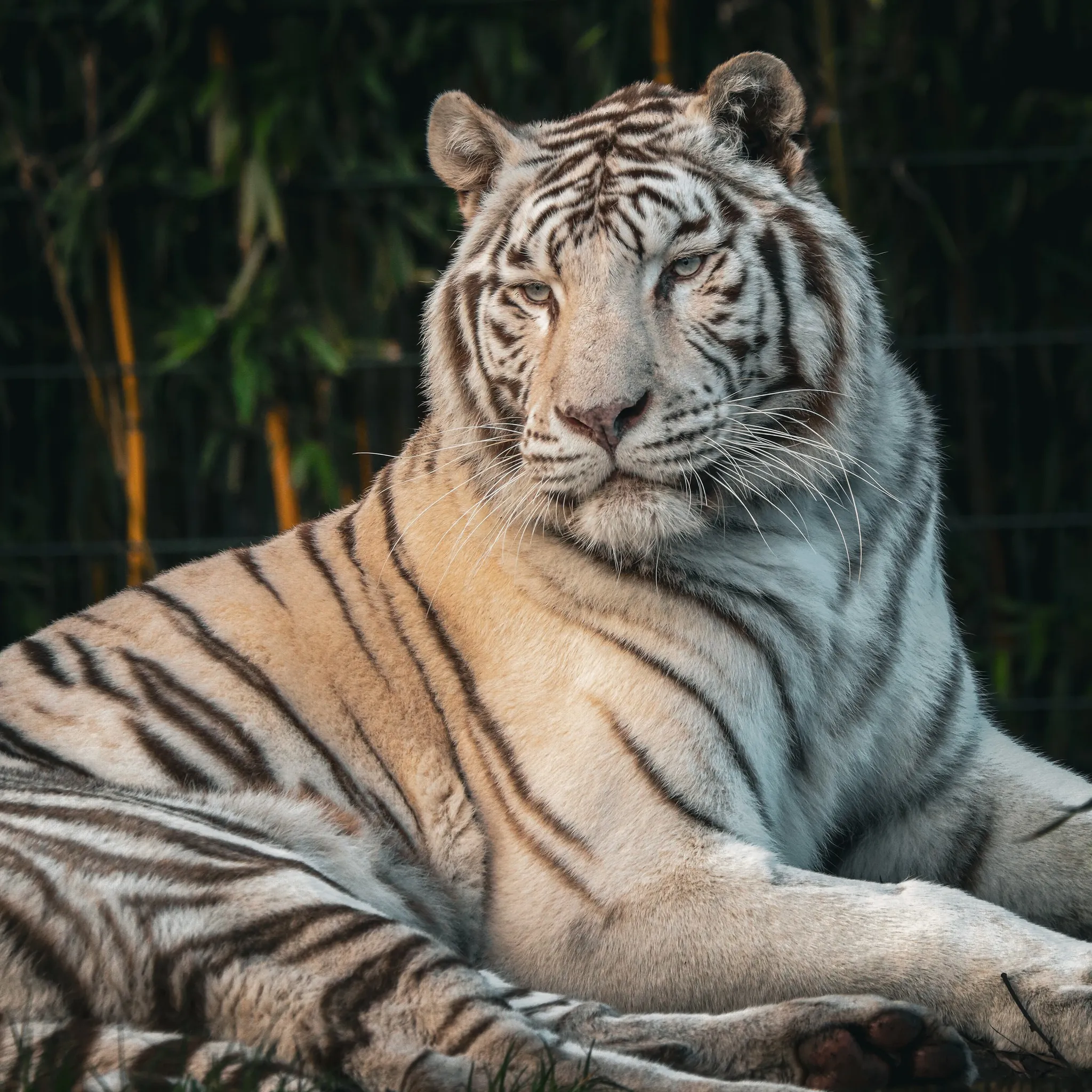 326272849 1230179894585988 1740440274708562962 n