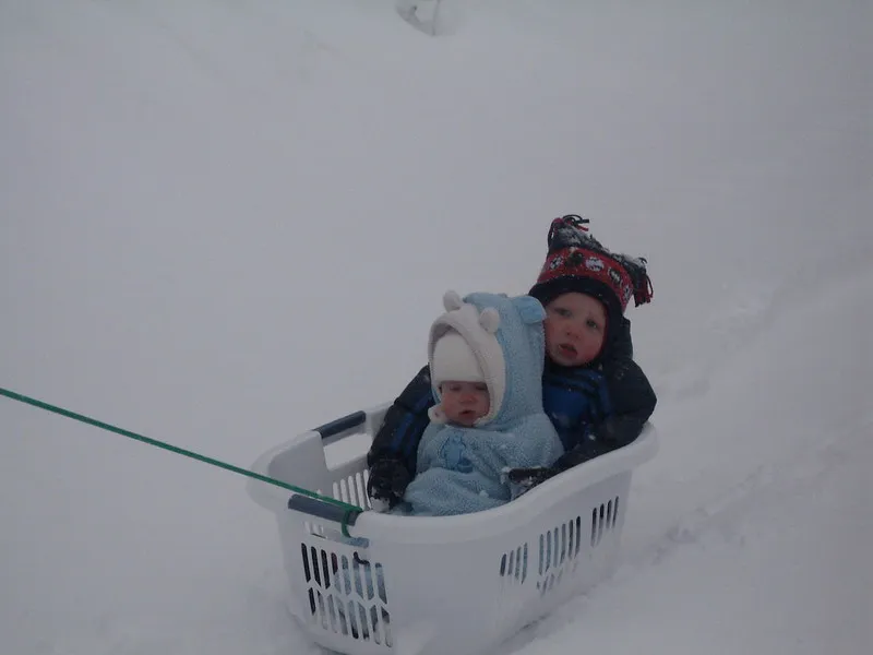 4335177797 d72e88026c c