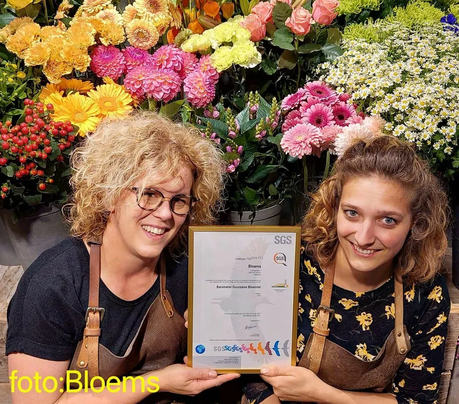 feu1 jwwb nl public 7 7 8 foto albert overloon wtq79w bloems