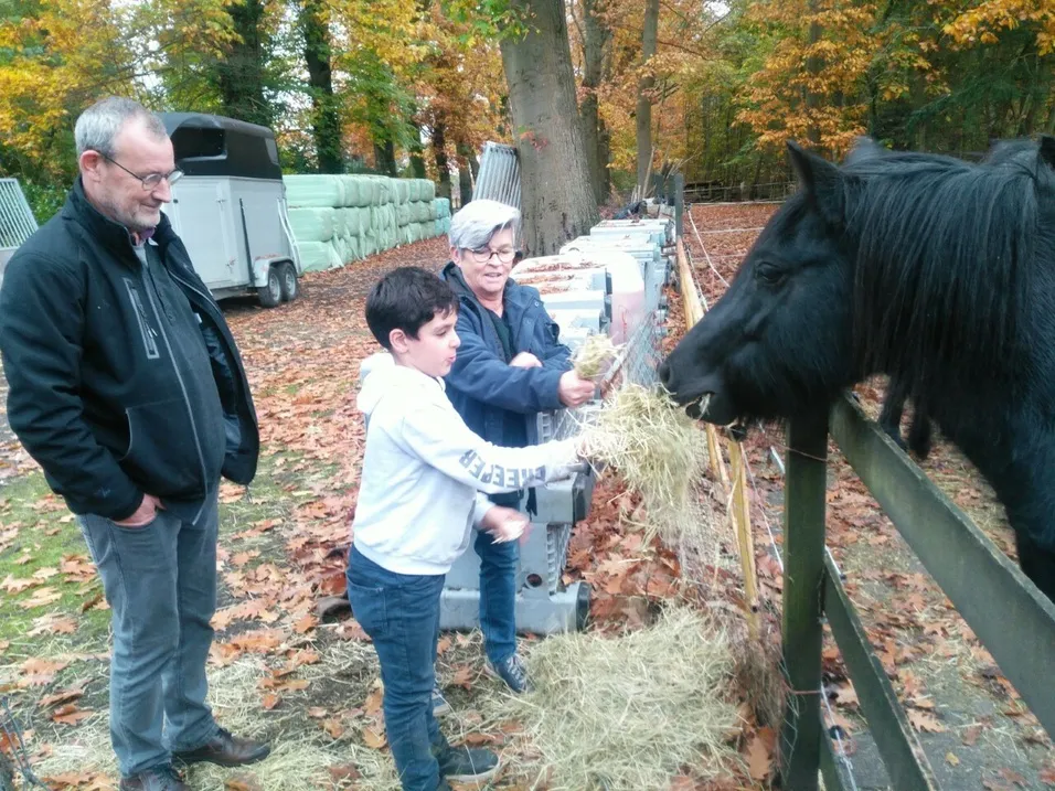 fjwwb nl public 7 7 8 foto albert overloon a2pqi2 fotojac1 3