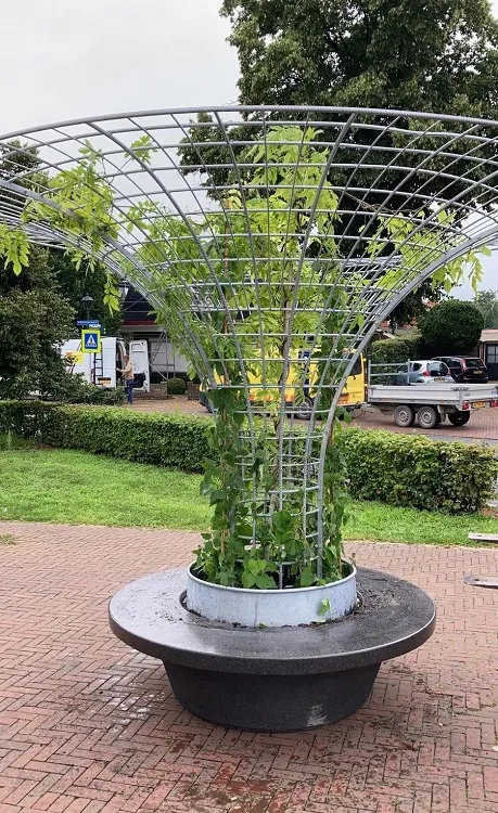 groene zuil kopie kopie