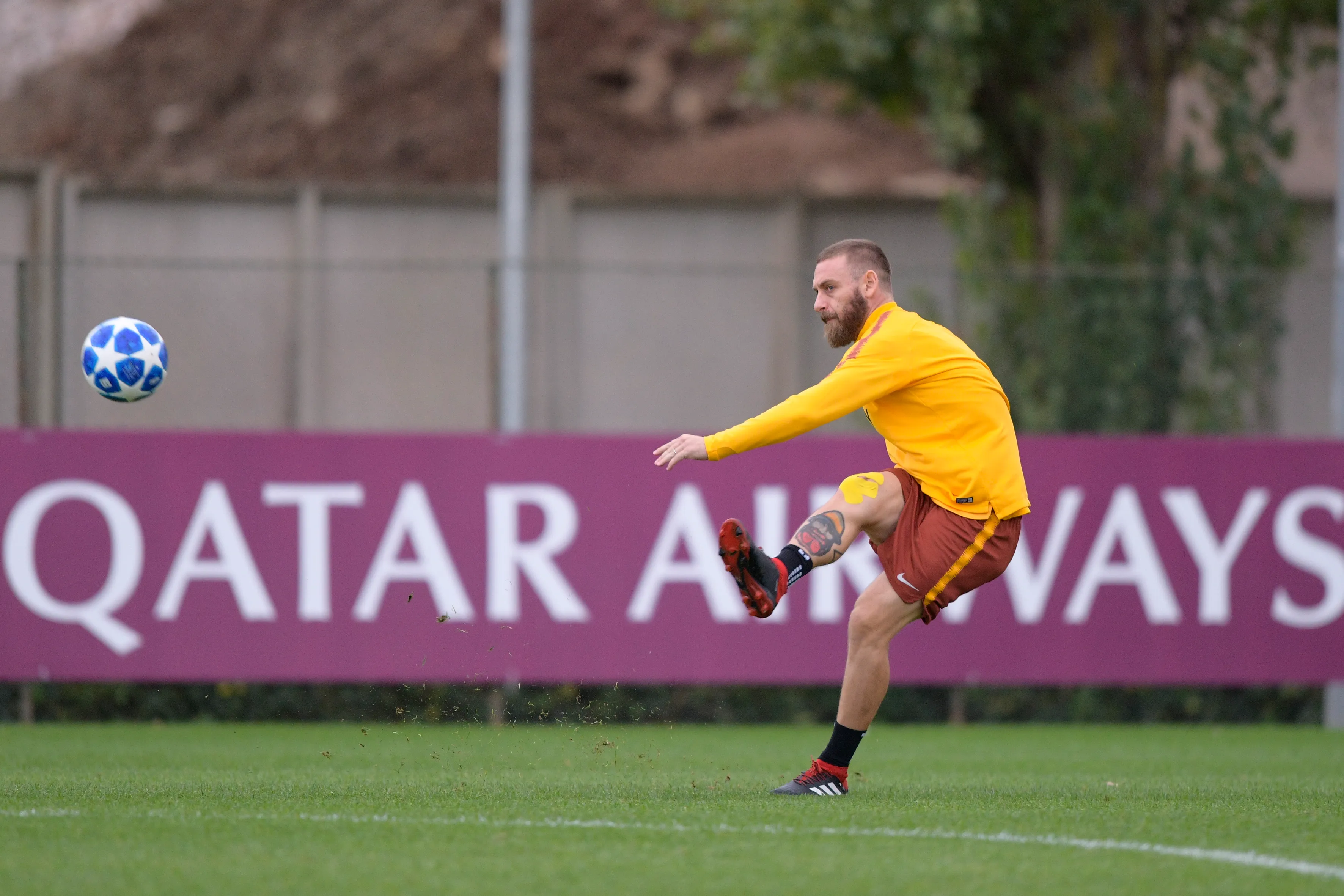 lp 8687098