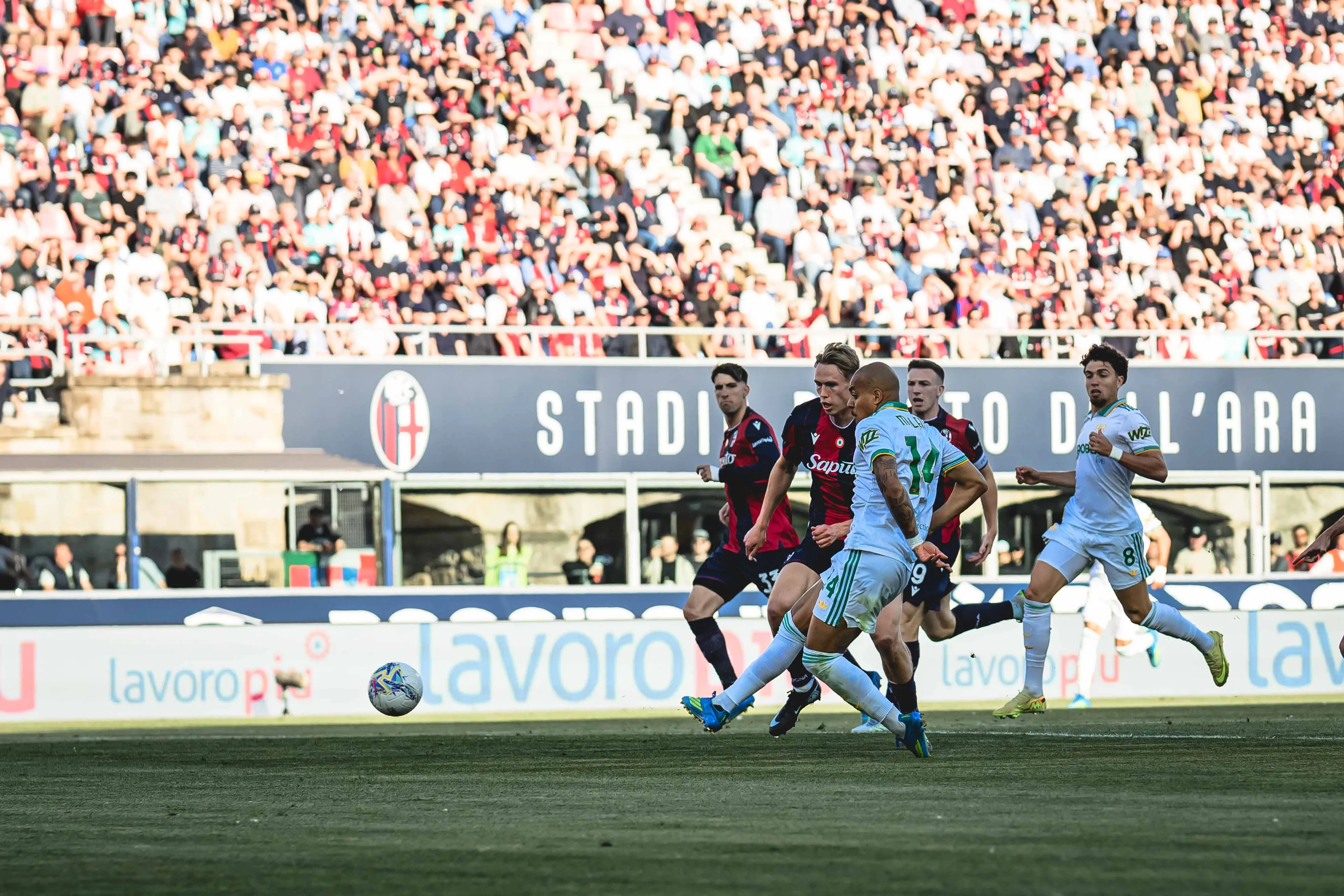 gol malen