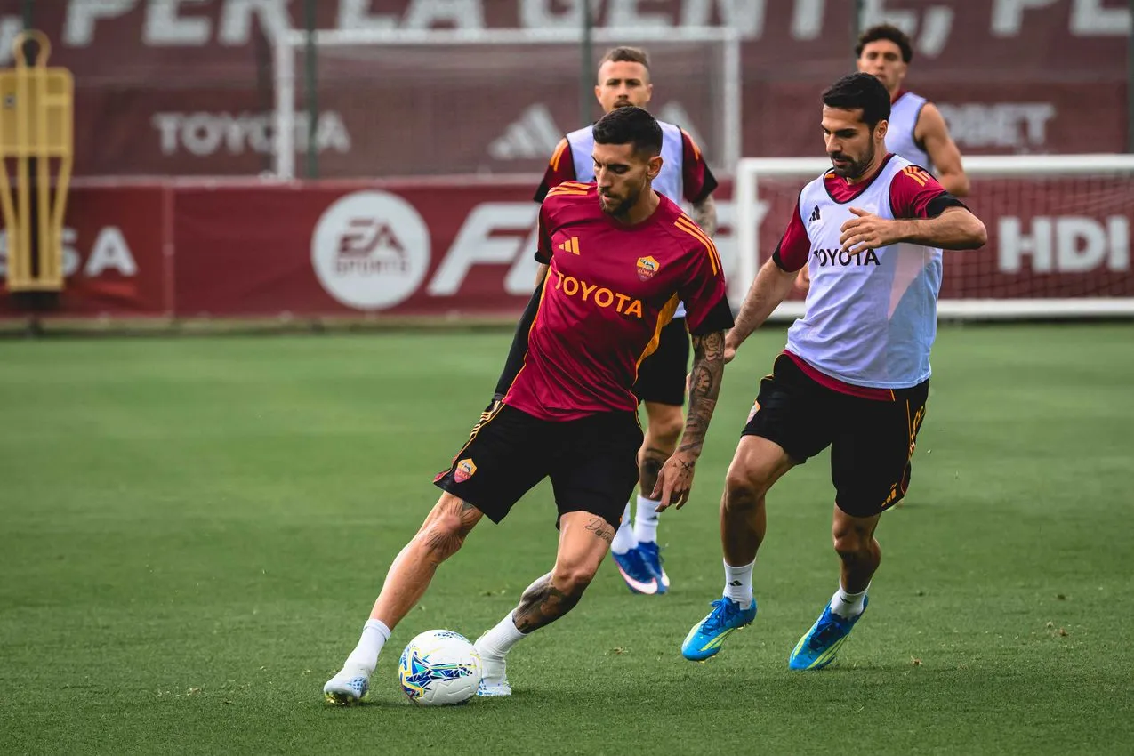 pellegrini e celik