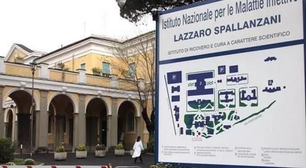 5146435 1523 spallanzani