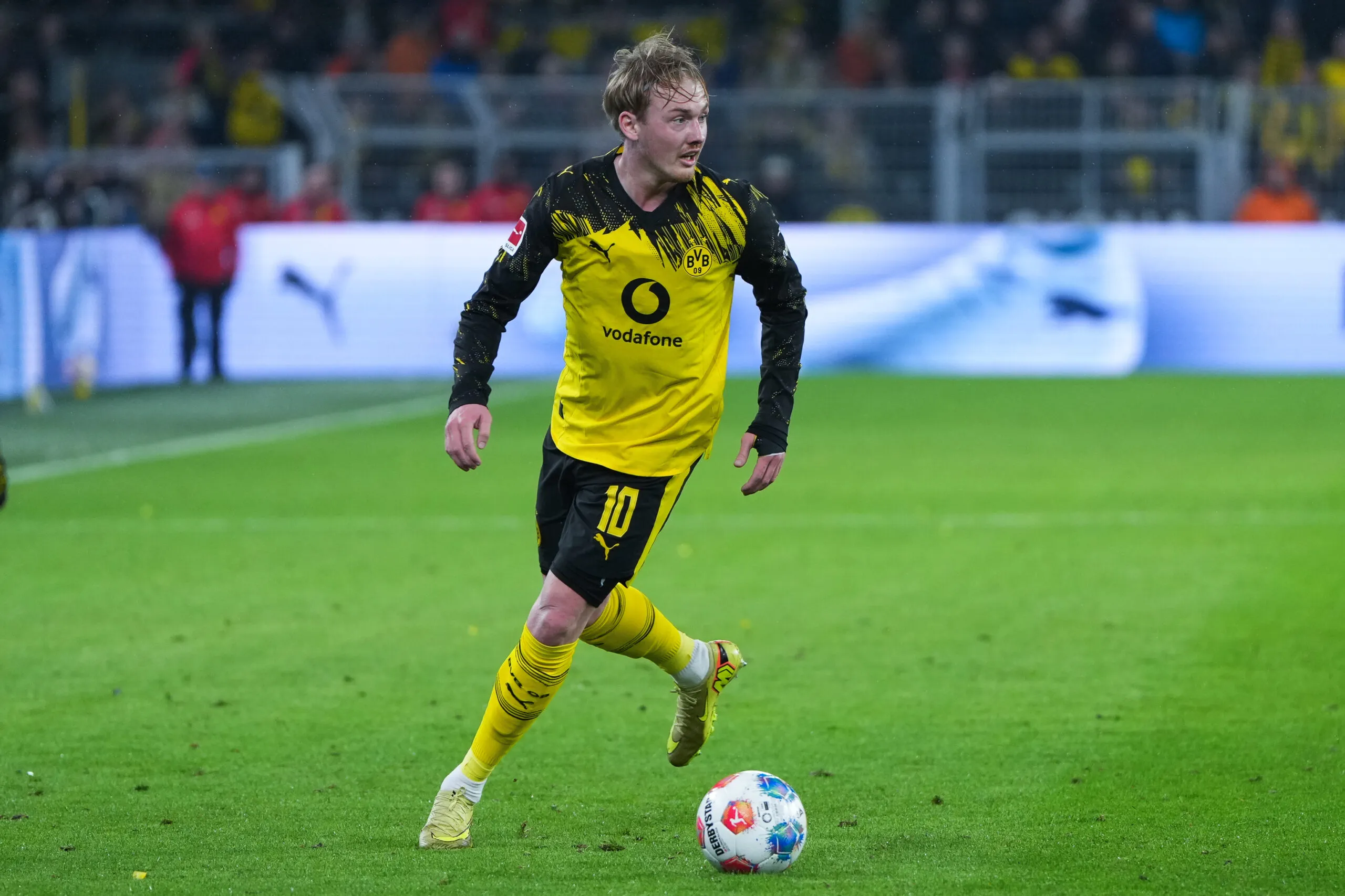 aaa brandt focus