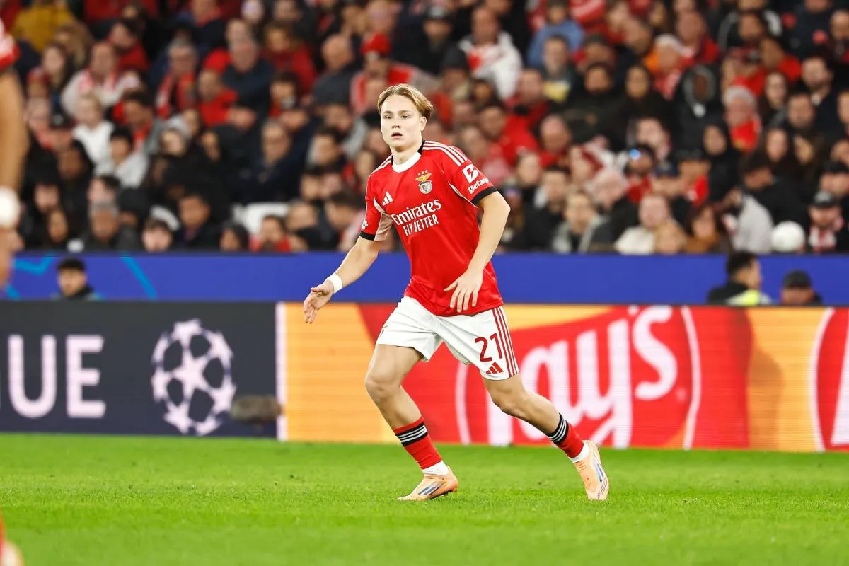 andreas schjelderup