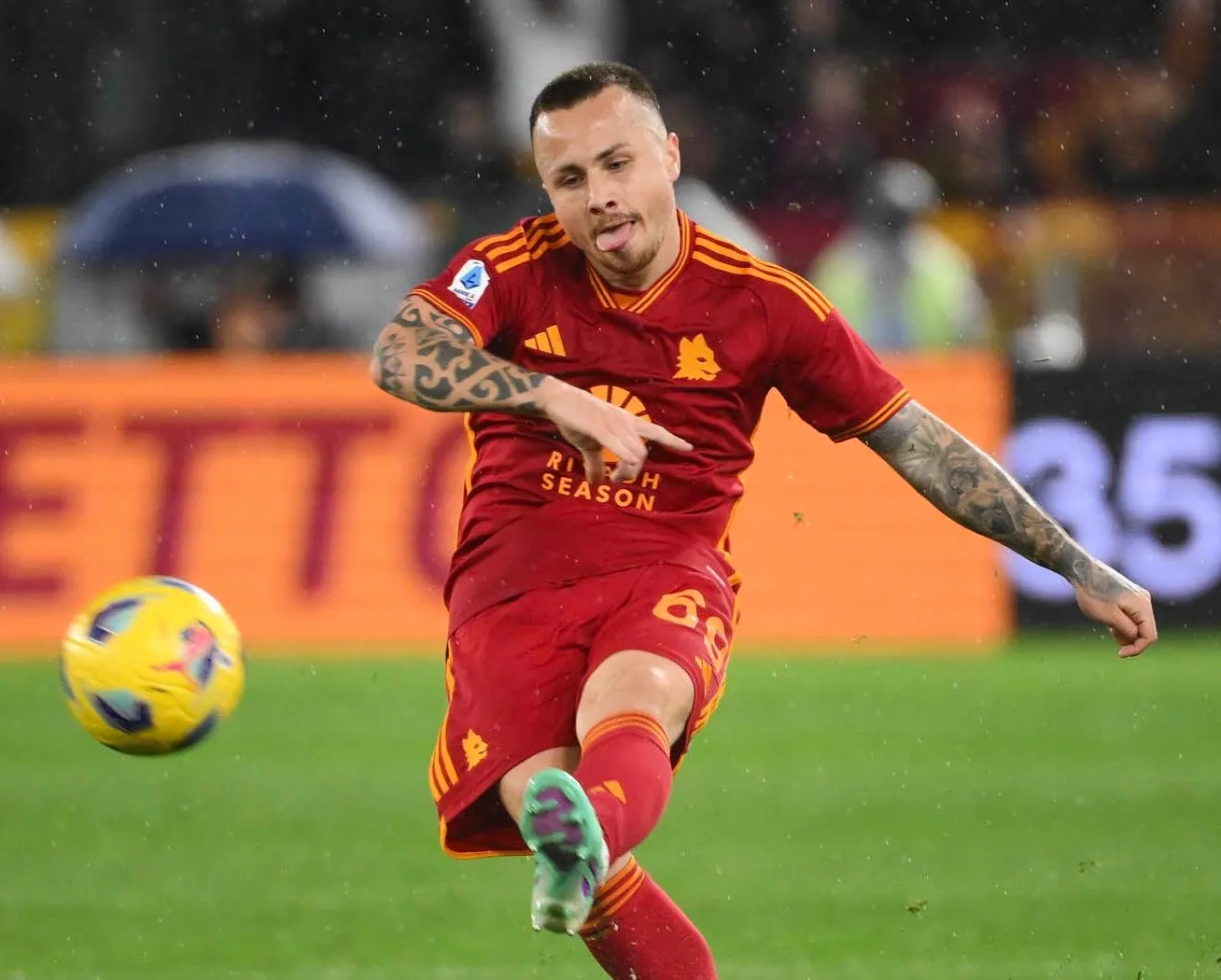 angelino 1