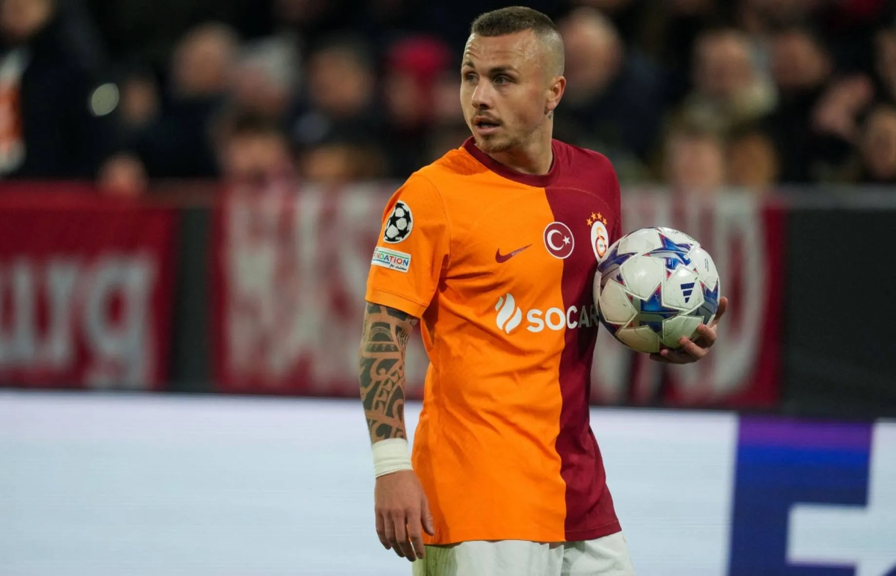 angelino 2024