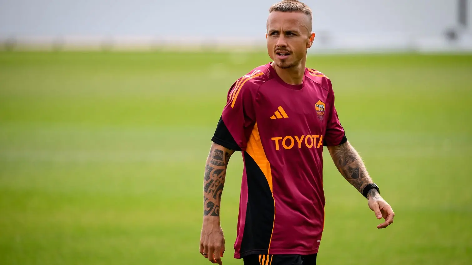 angelino