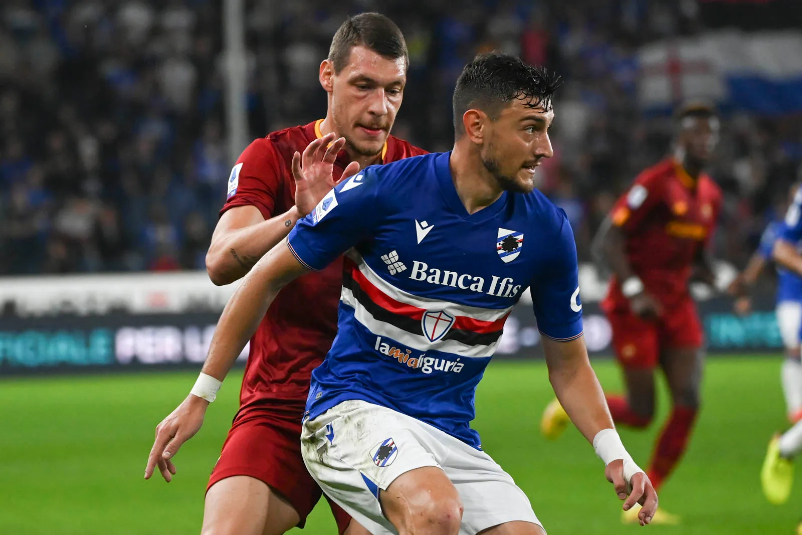 belotti samp roma
