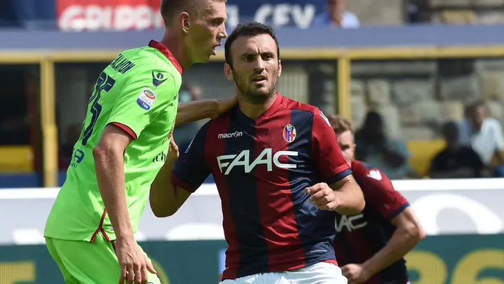 bologna torosidis