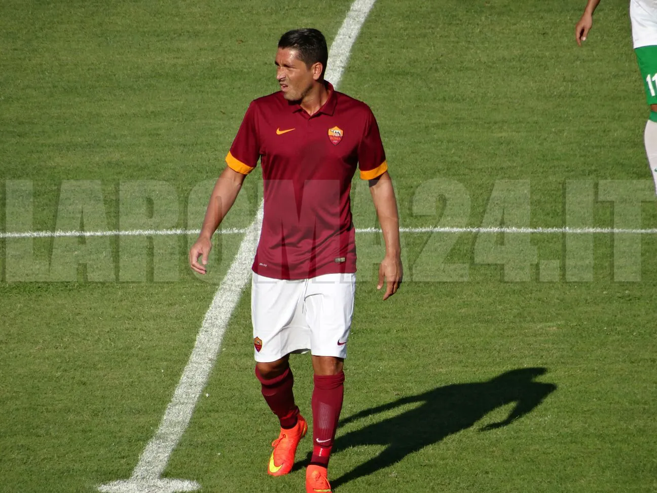 borriello
